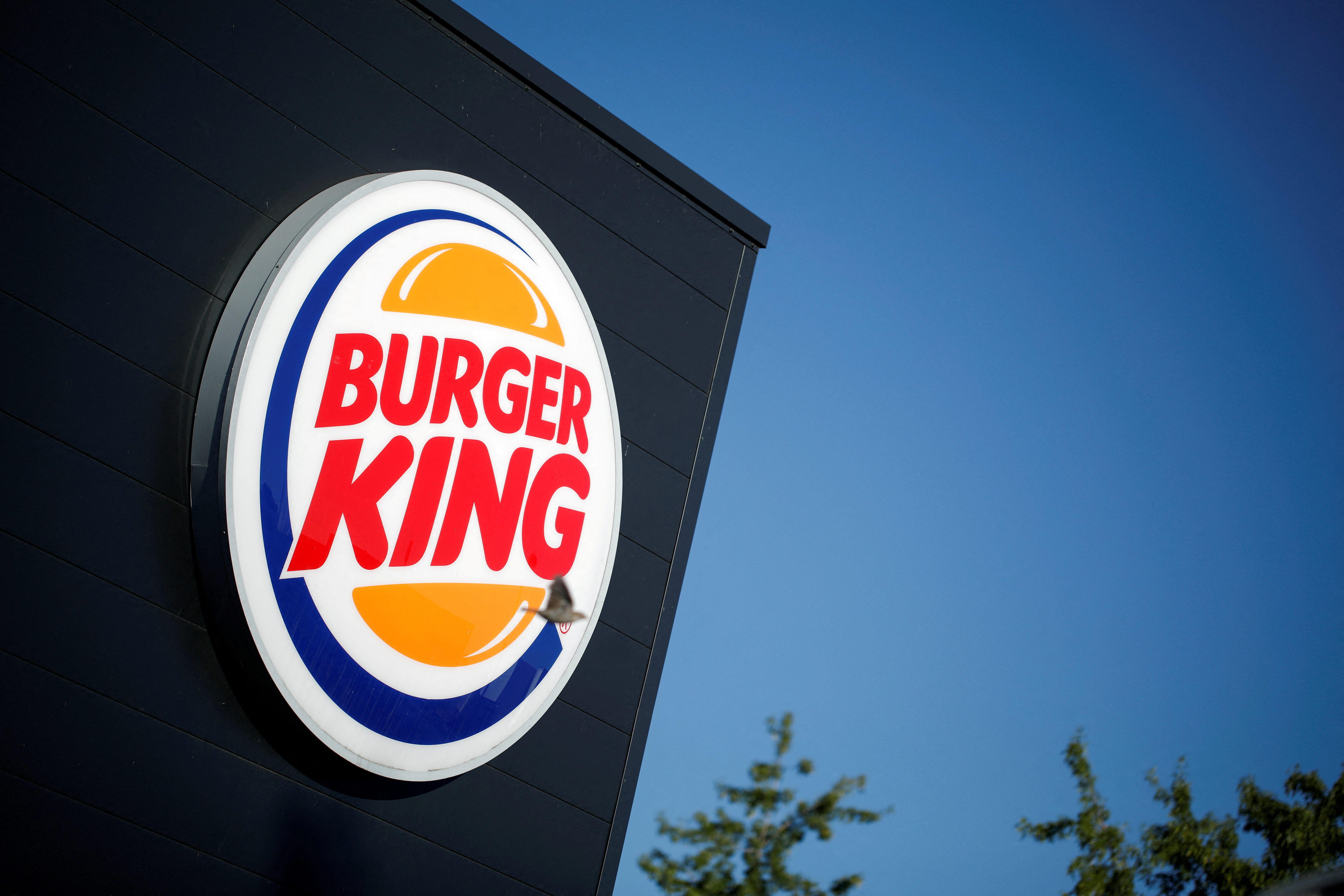 THE RISE OF THE BURGER KING