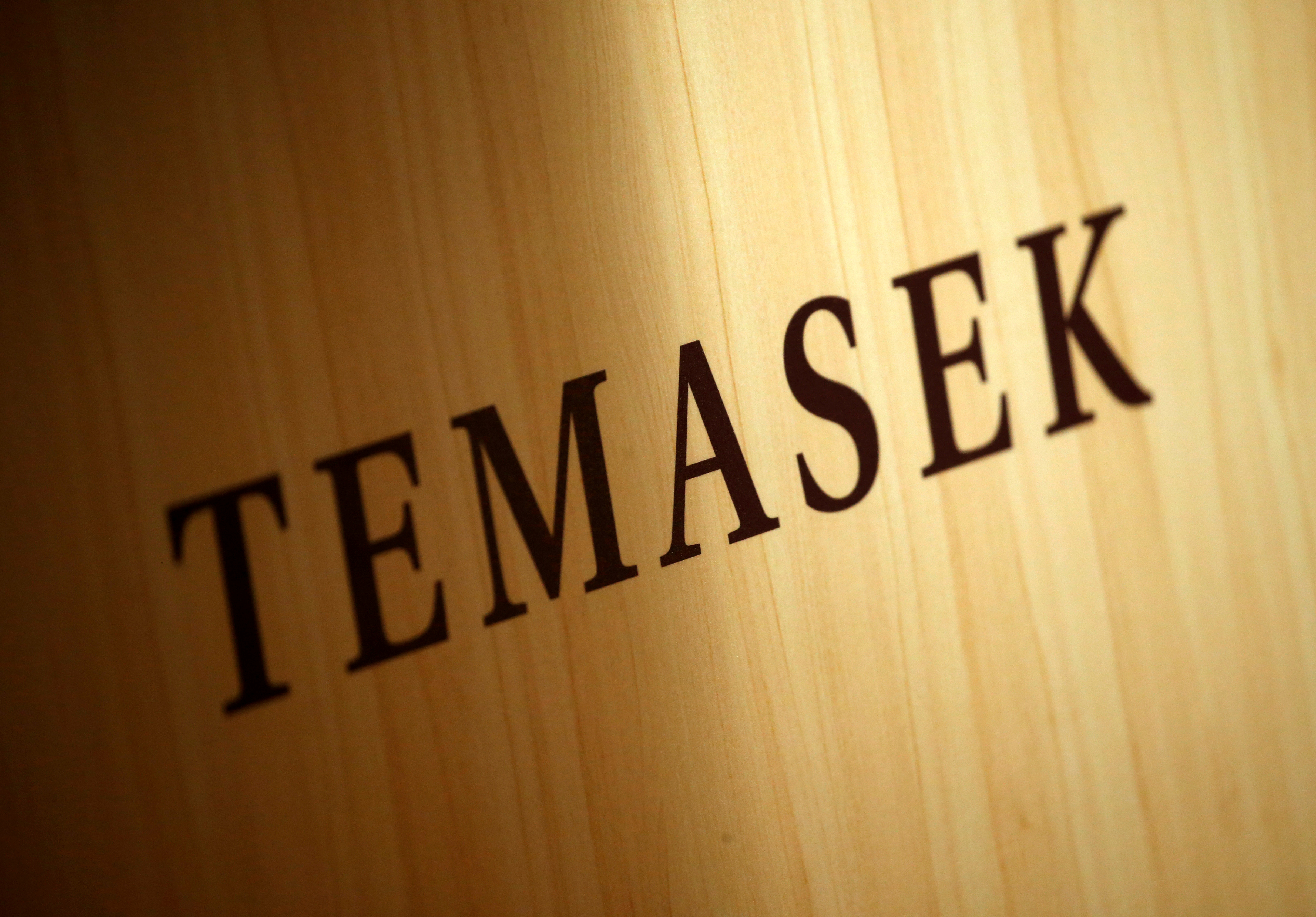 A Temasek logo is seen at the annual Temasek Review in Singapore