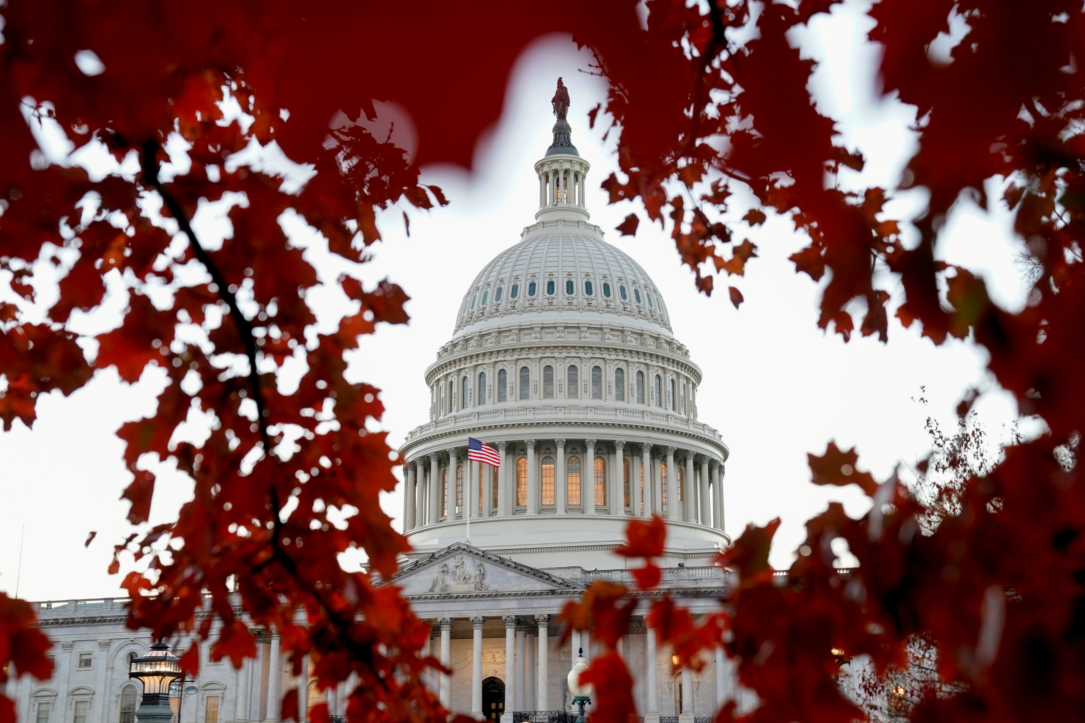 A general view of the U.S. Capitol in Washington, U.S. November 10, 2020. REUTERS/Erin Scott