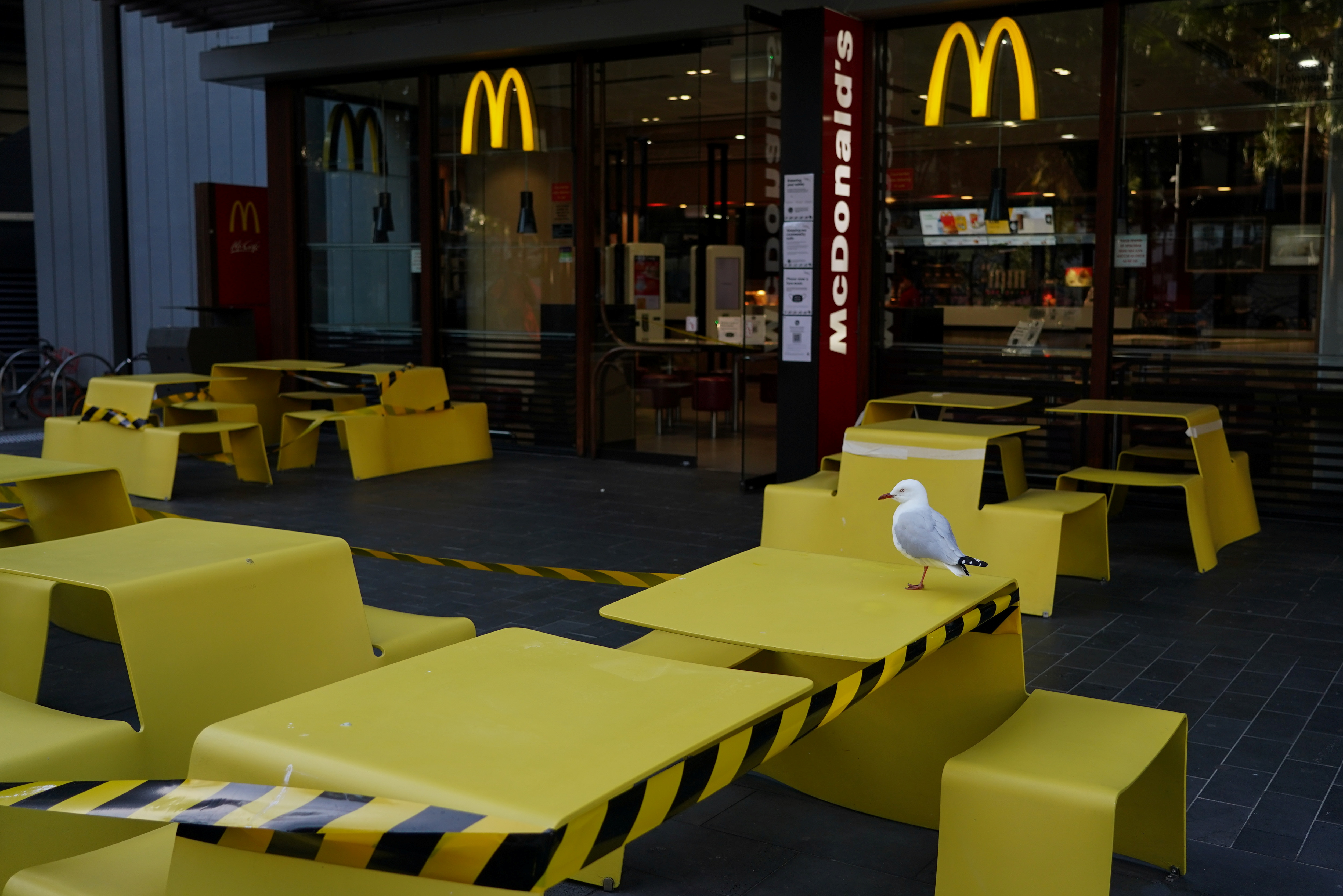 A seagull stands on a table marked off with tape to prevent customers from sitting down to eat at a McDonald's restaurant during a lockdown to curb the spread of a coronavirus disease (COVID-19) outbreak in Sydney, Australia, July 15, 2021.  REUTERS/Loren Elliott