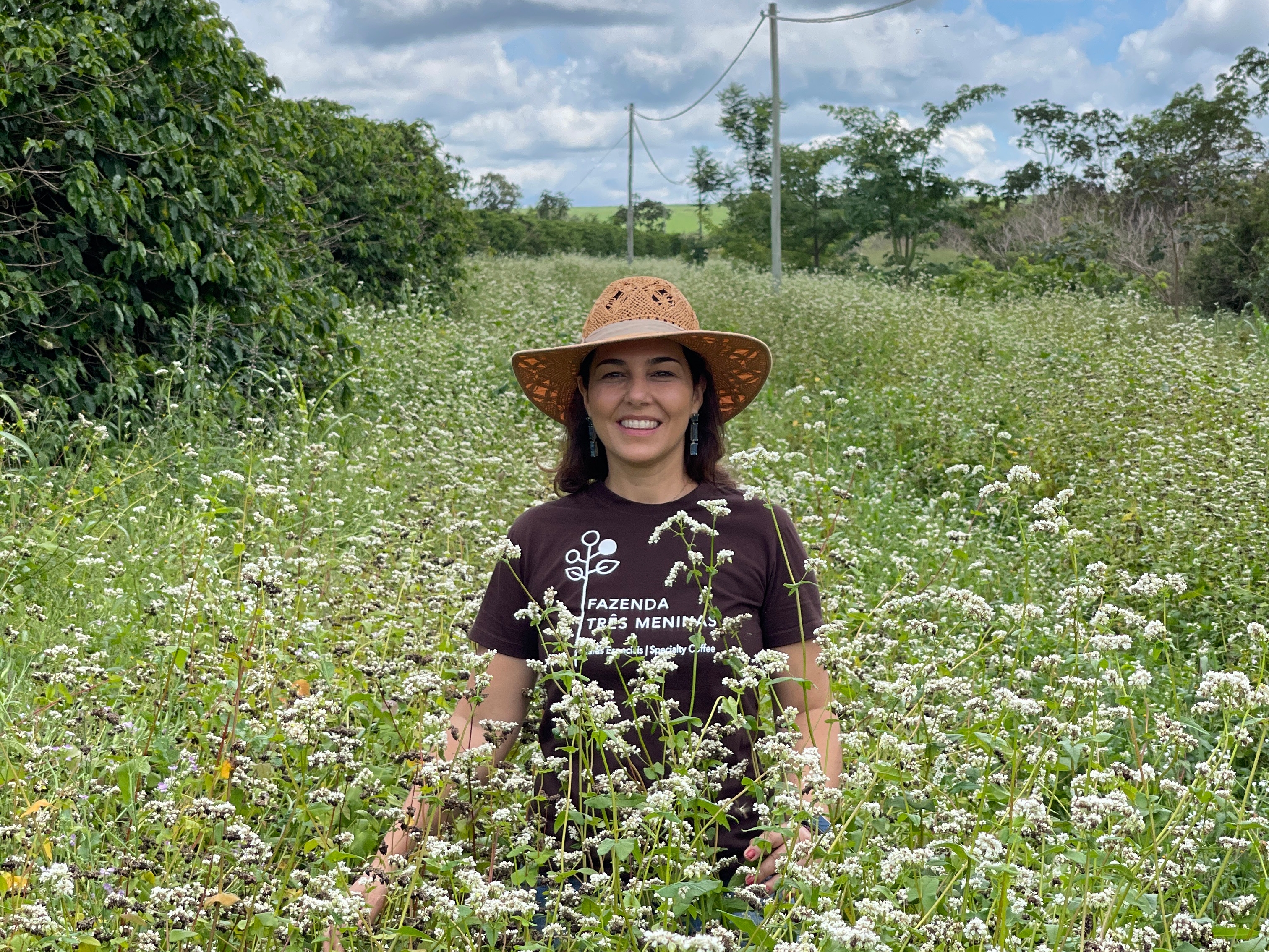 Regenerative coffee farming in Brazil