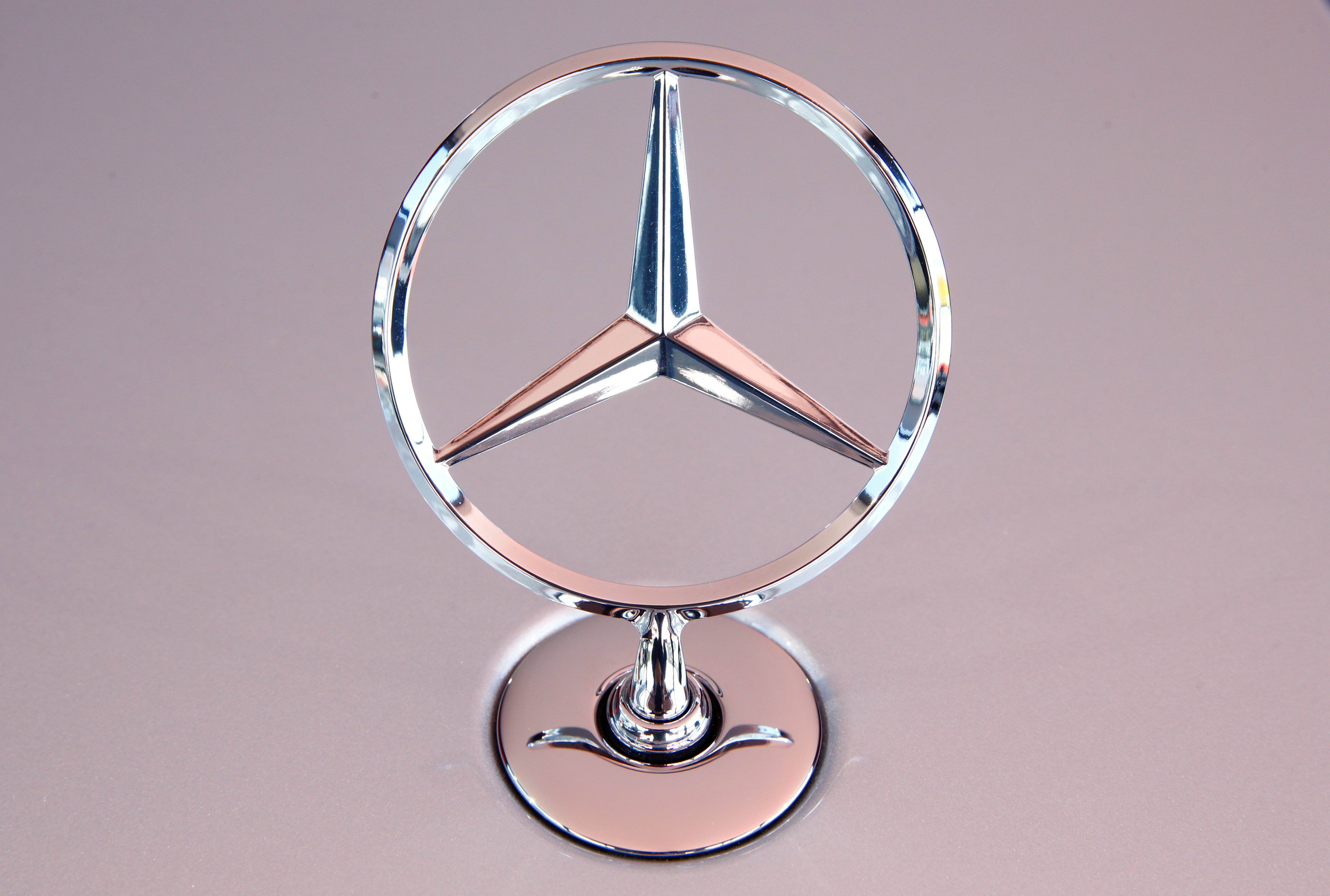 The Mercedes Benz star is seen on a new Mercedes-Benz S-Class limousine near Immendingen