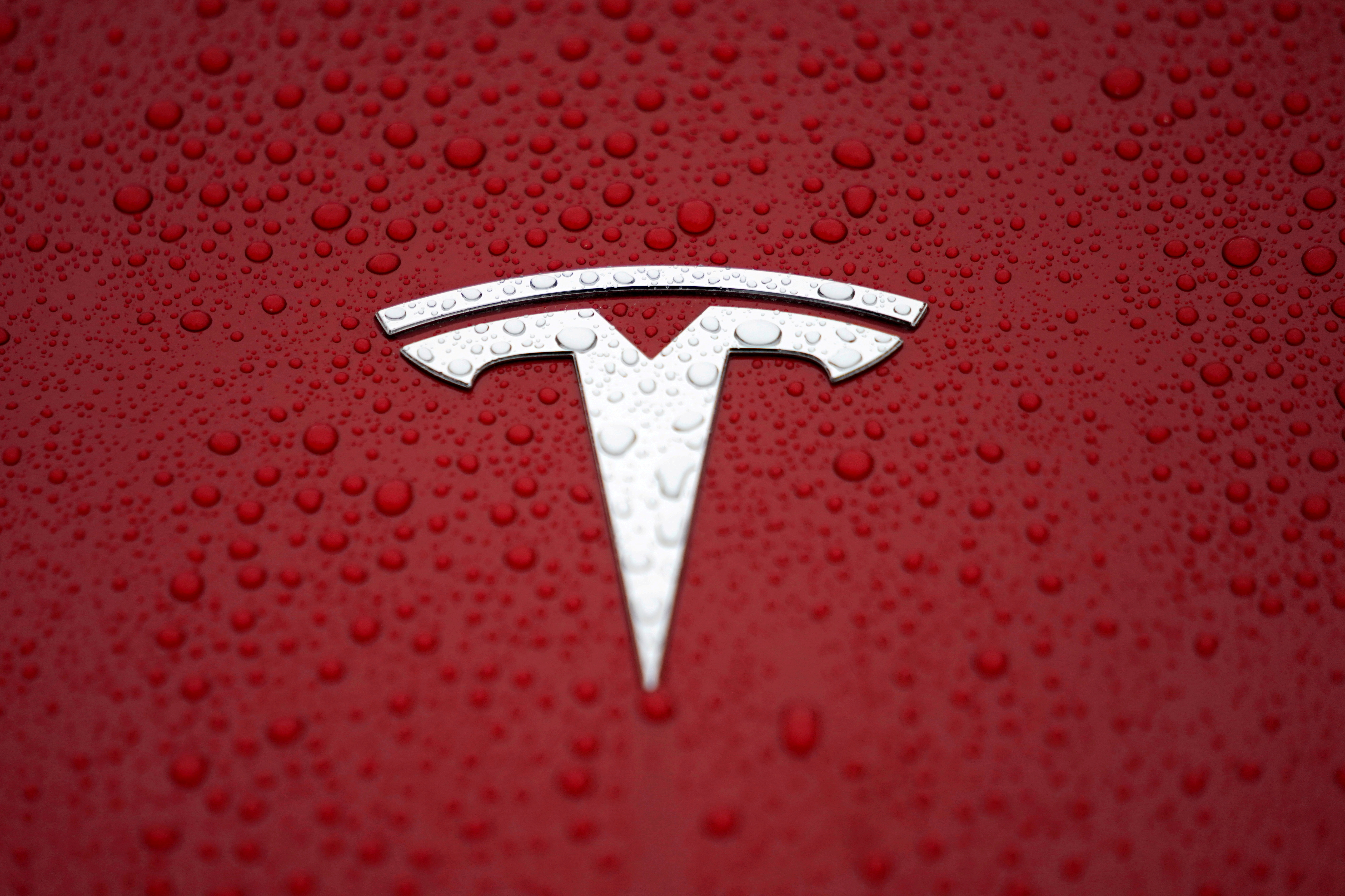 A Tesla logo is seen at the Tesla Shanghai Gigafactory in Shanghai, China January 7, 2019. REUTERS/Aly Song/File Photo
