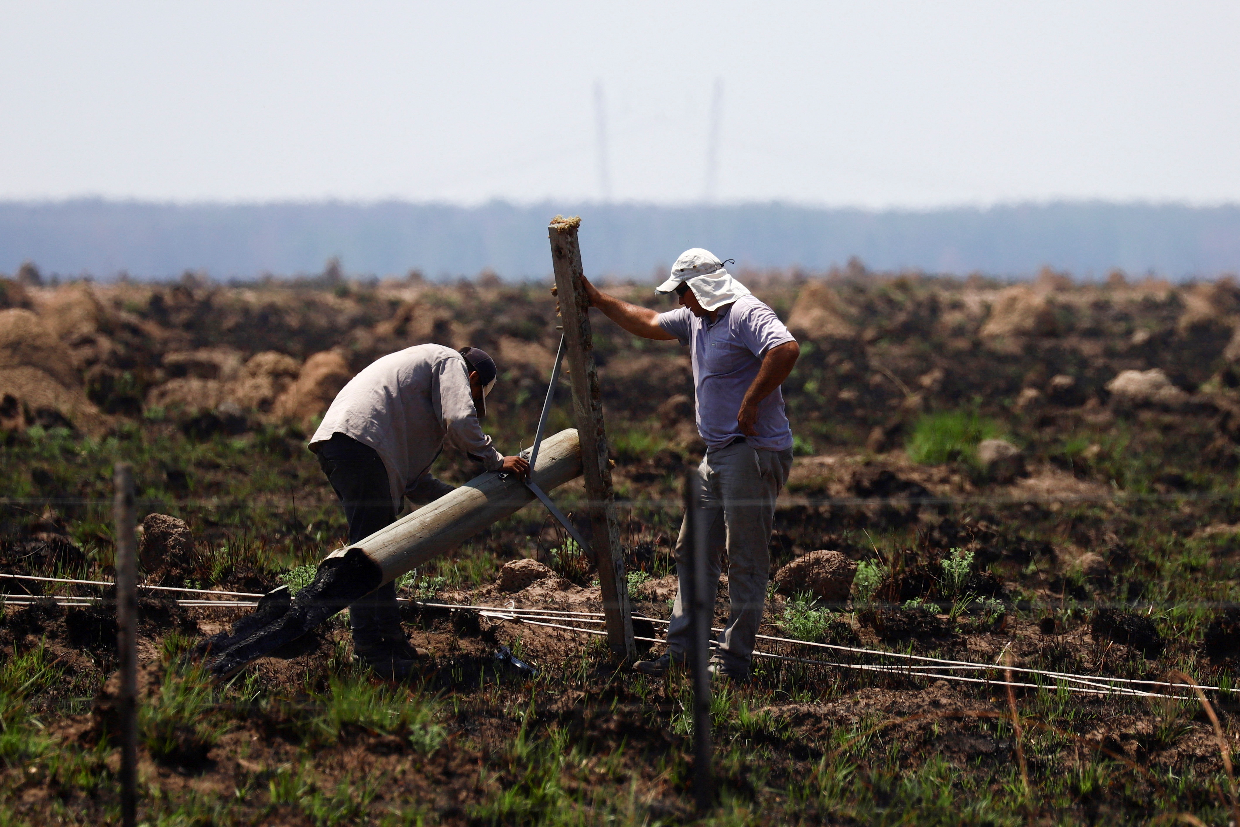 Workers repair an electricity transmission line after a wildfire, in a region hit by drought and high temperatures, near Santo Tome, province of Corrientes, Argentina February 21, 2022. REUTERS/Matias Baglietto