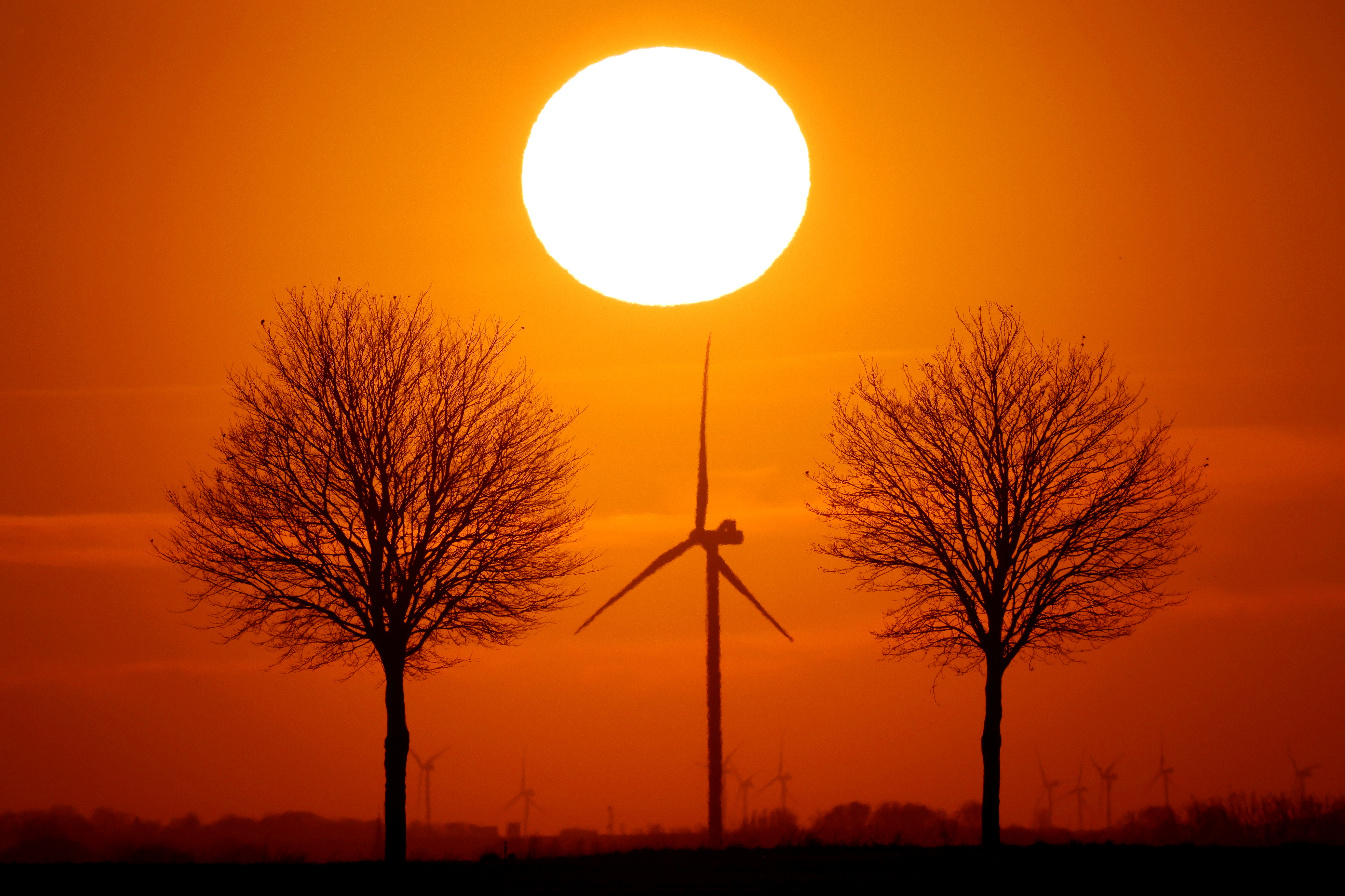 Power-generating windmill turbines are seen during sunset in Bourlon, France, February 23, 2021. REUTERS/Pascal Rossignol/File Photo