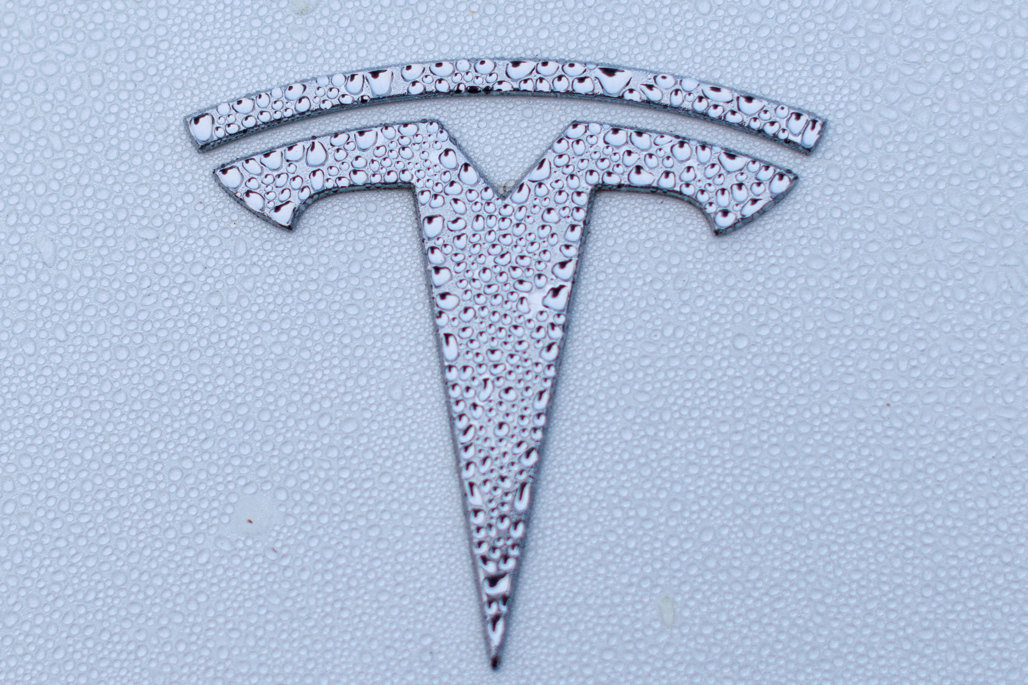 FILE PHOTO: Tesla logo shown on Model Y vehicle in California