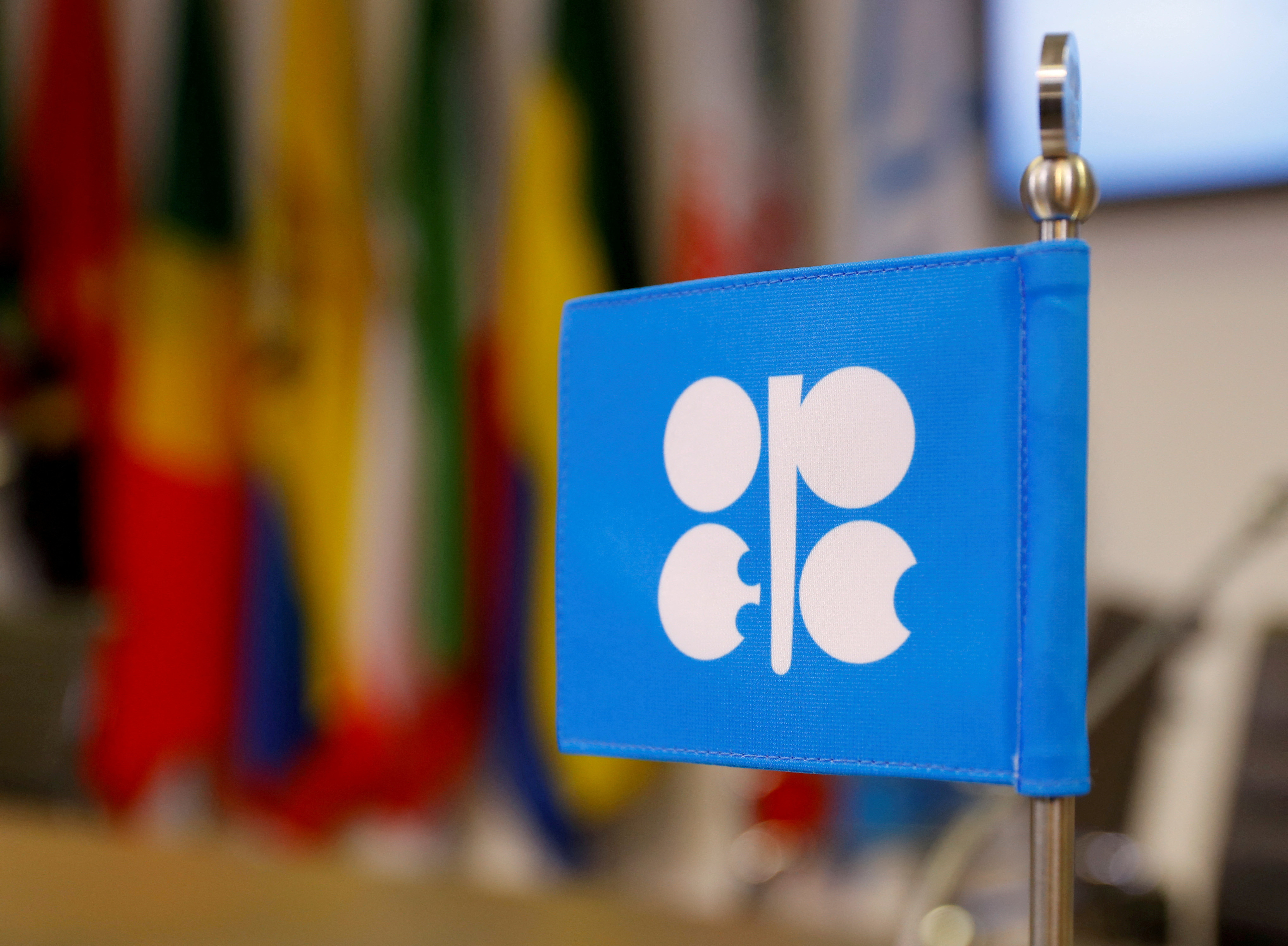 The logo of the Organization of the Petroleum Exporting Countries (OPEC) is seen inside its headquarters in Vienna