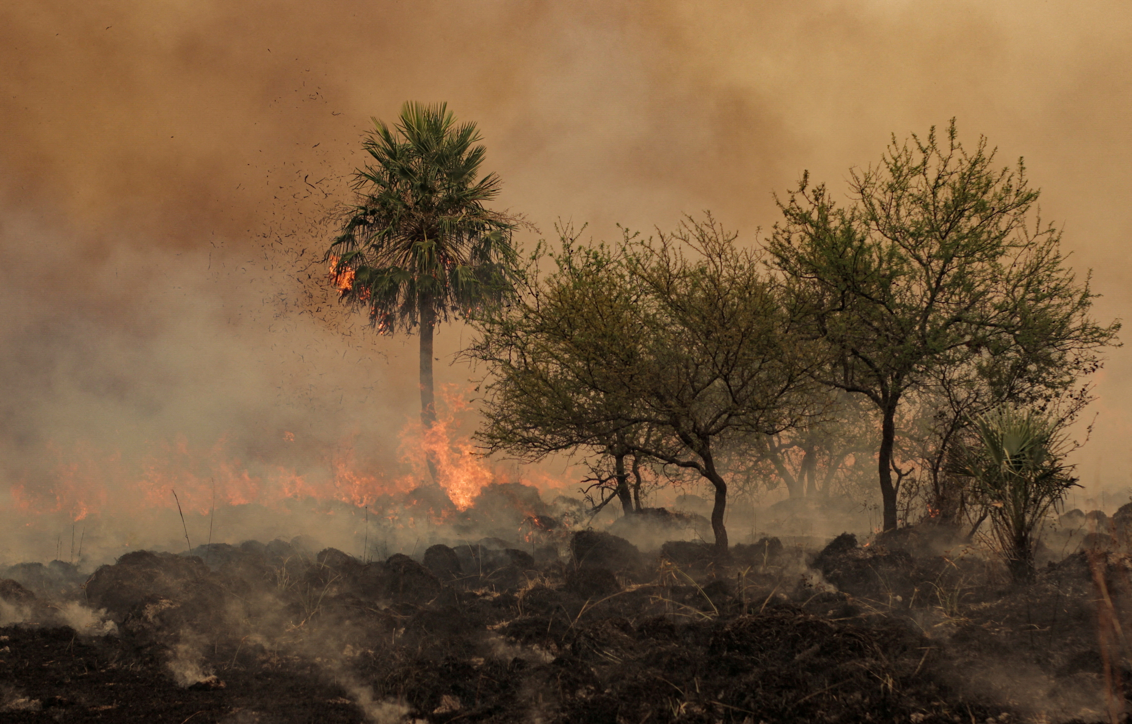 FILE PHOTO: Devastating wildfire in northern Argentina destroys more than 500,000 hectares, in Corrientes
