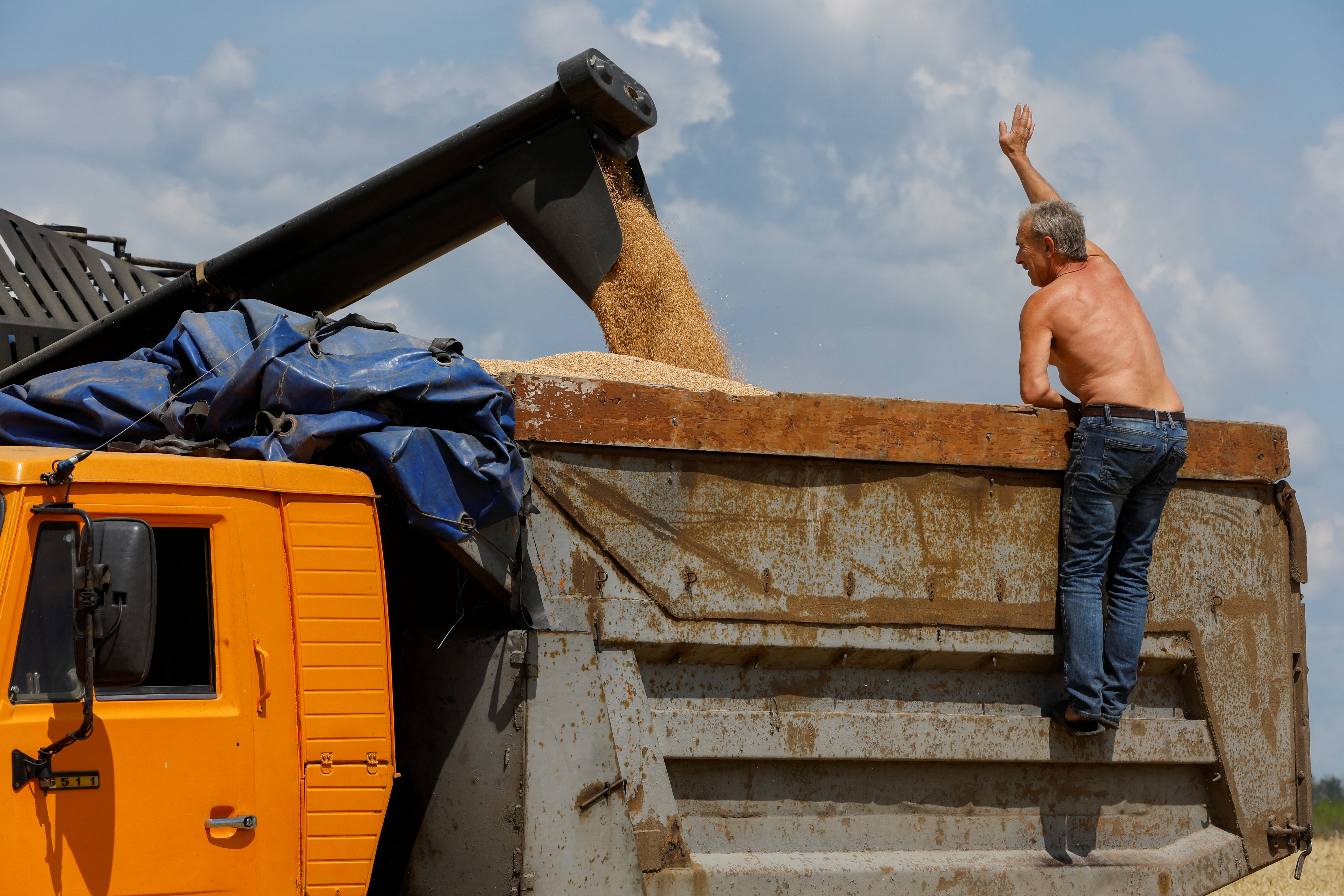Wheat harvest near Luhansk