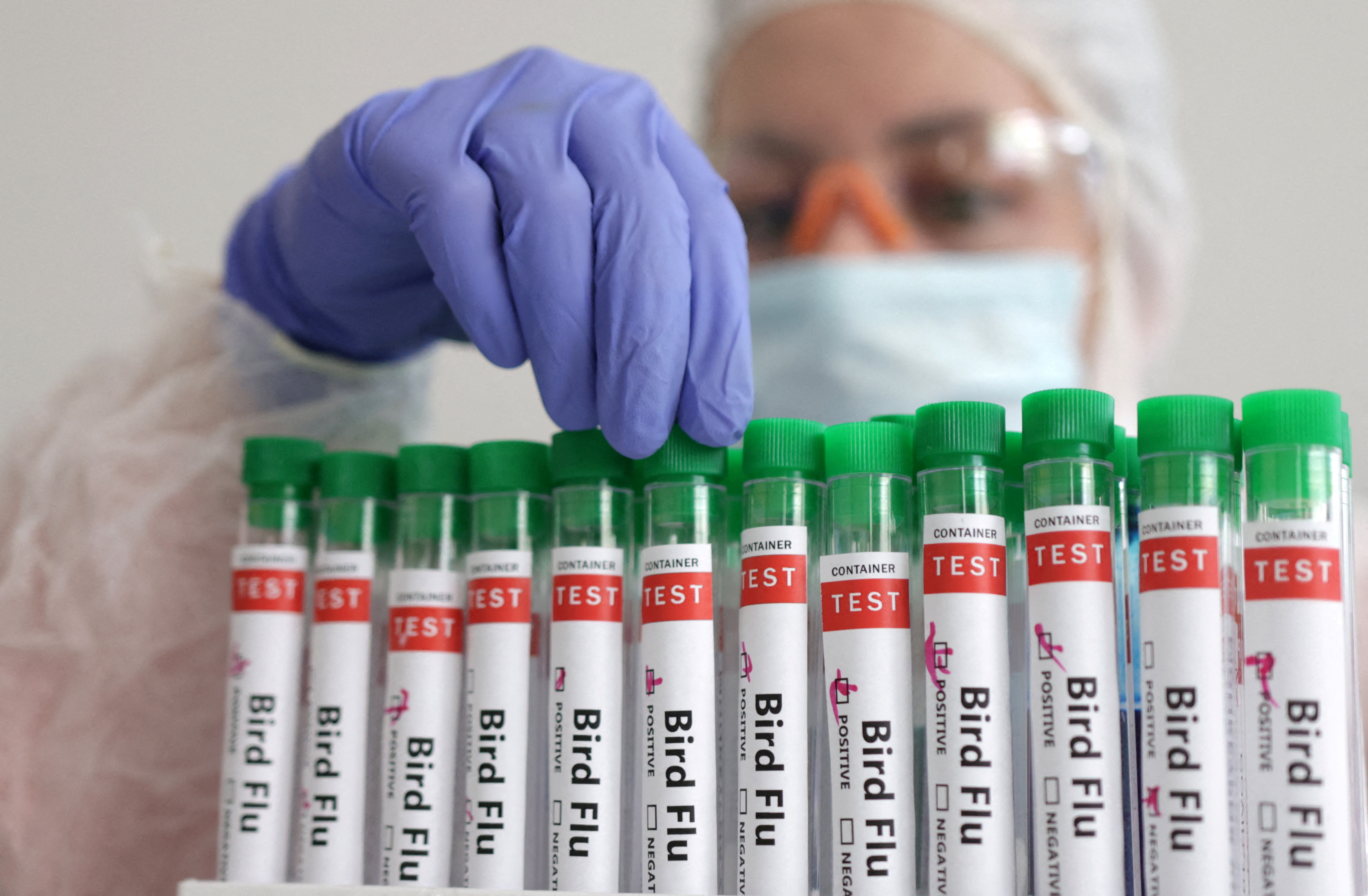 Illustration shows person touching test tube labelled "Bird Flu\