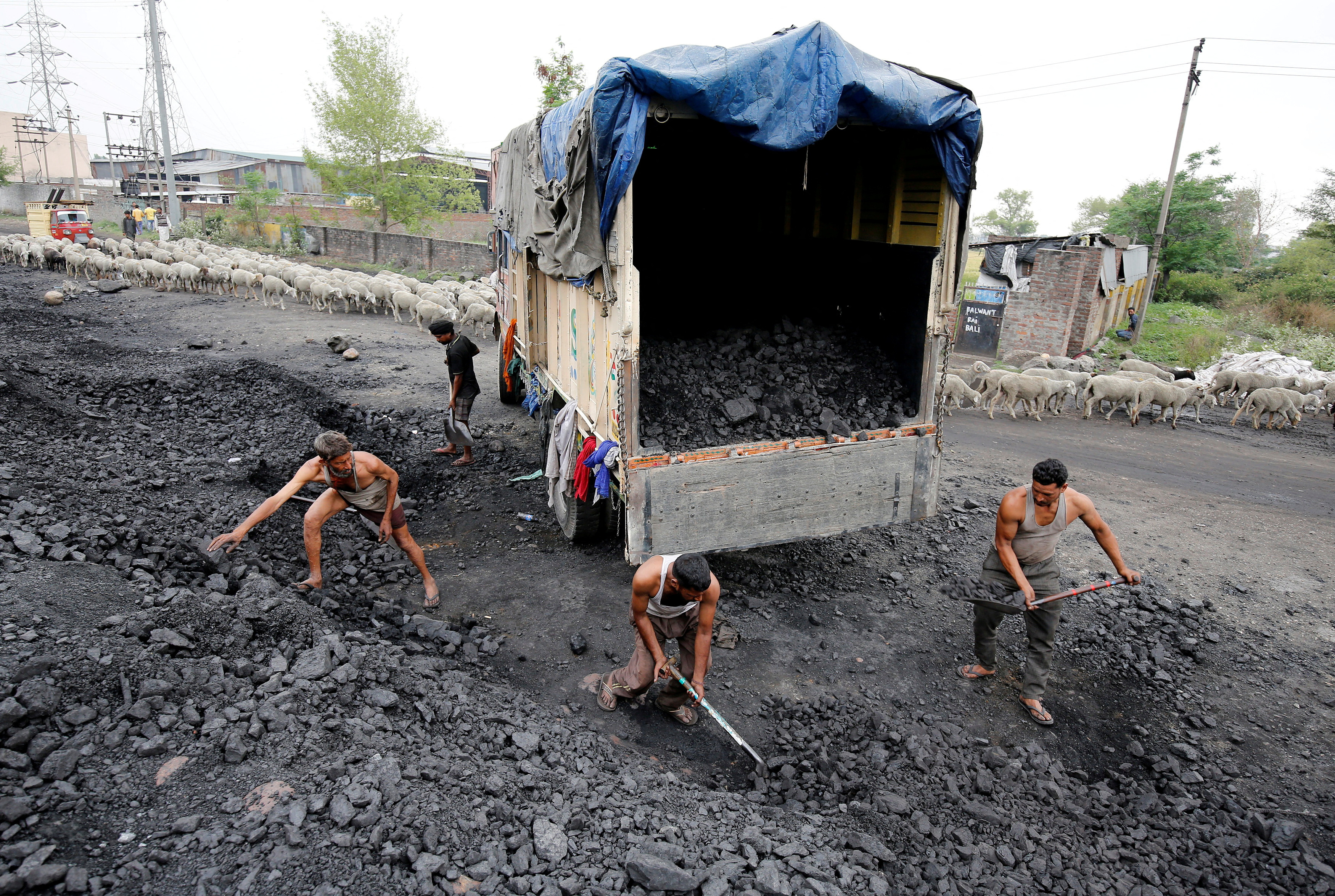 Labourers load coal onto a supply truck on the outskirts of Jammu