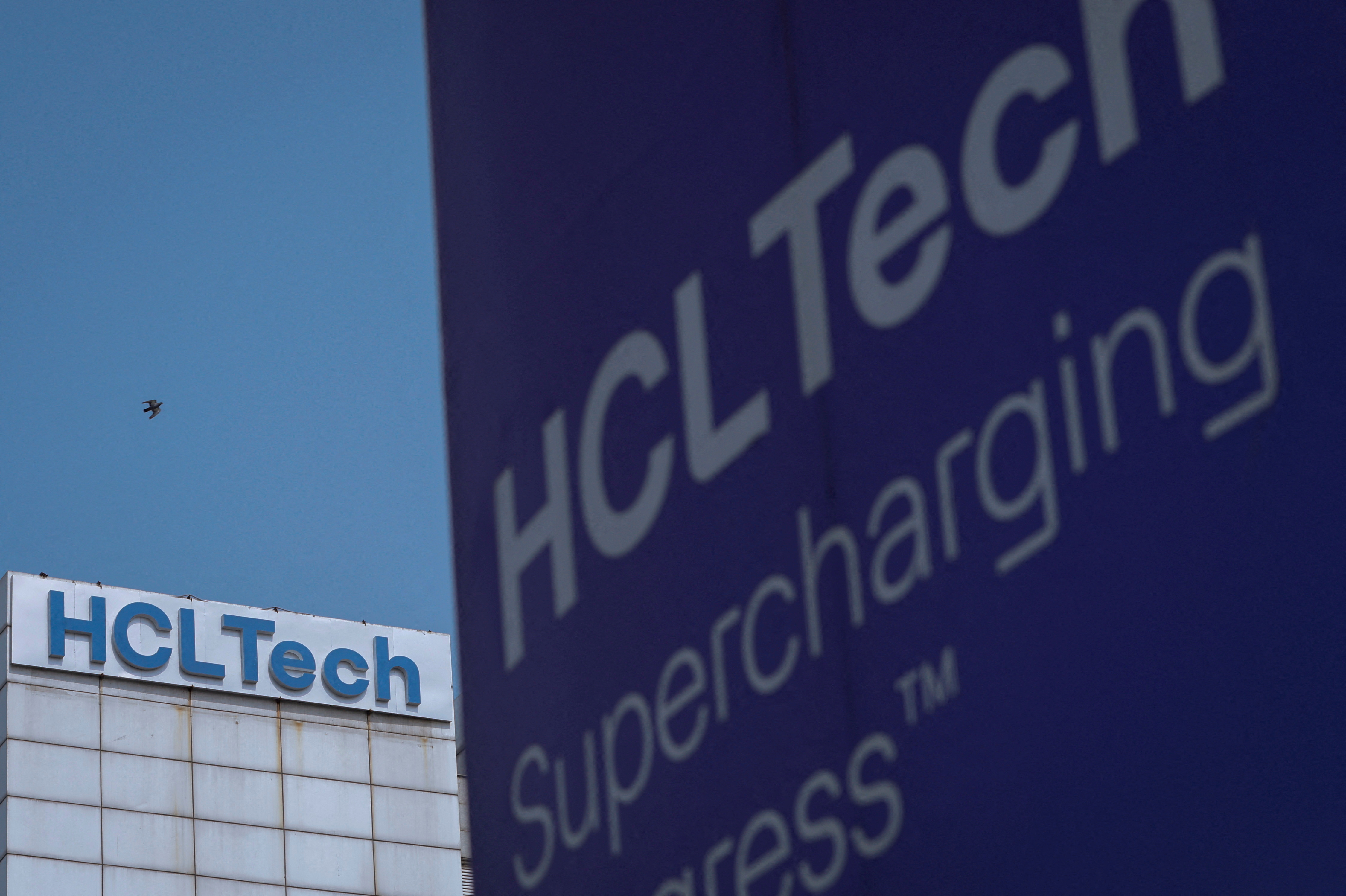 A pigeon flies past a logo of HCL Technologies installed at their headquarters in Noida