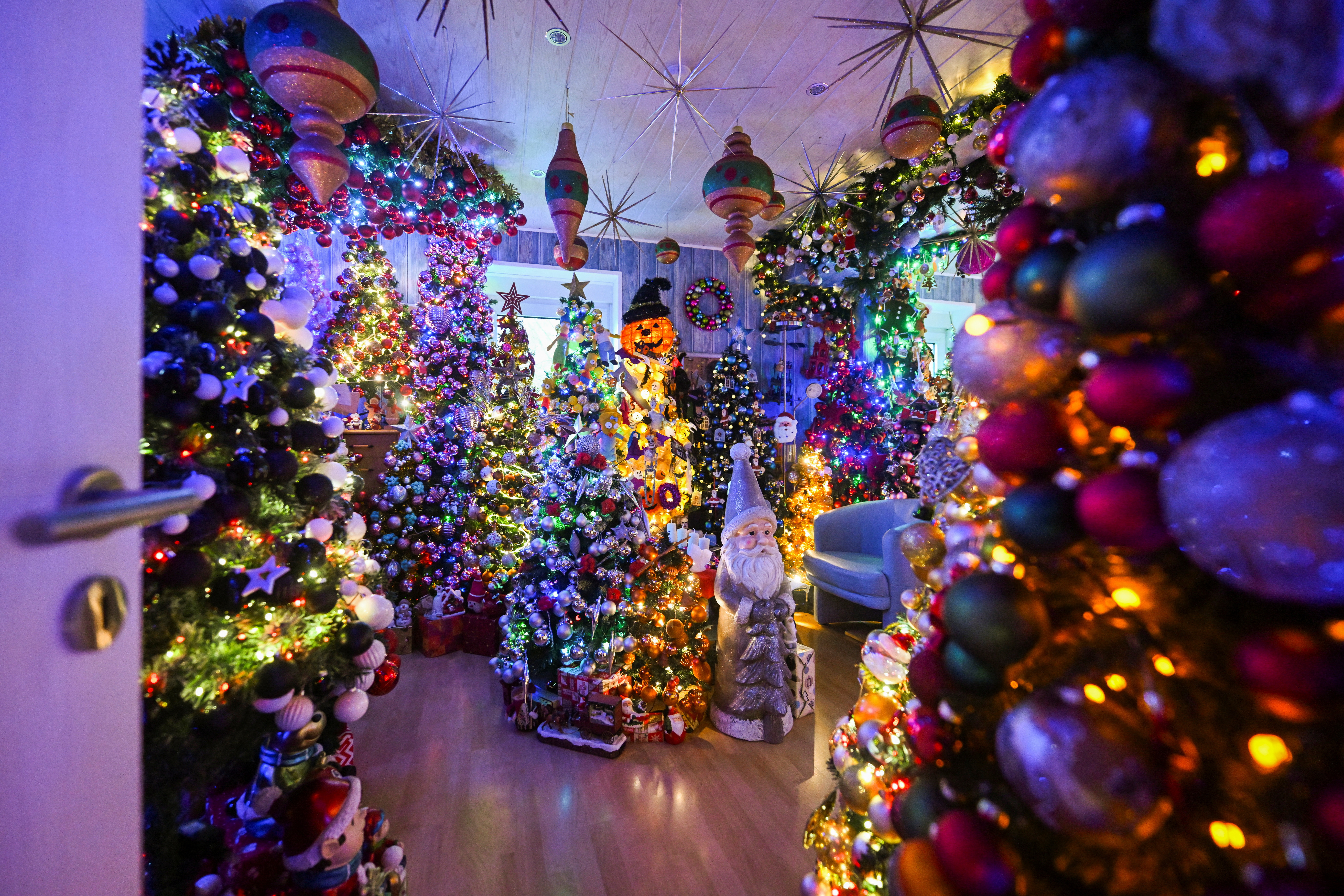 Record-breaking 605 Christmas trees bring Yuletide cheer