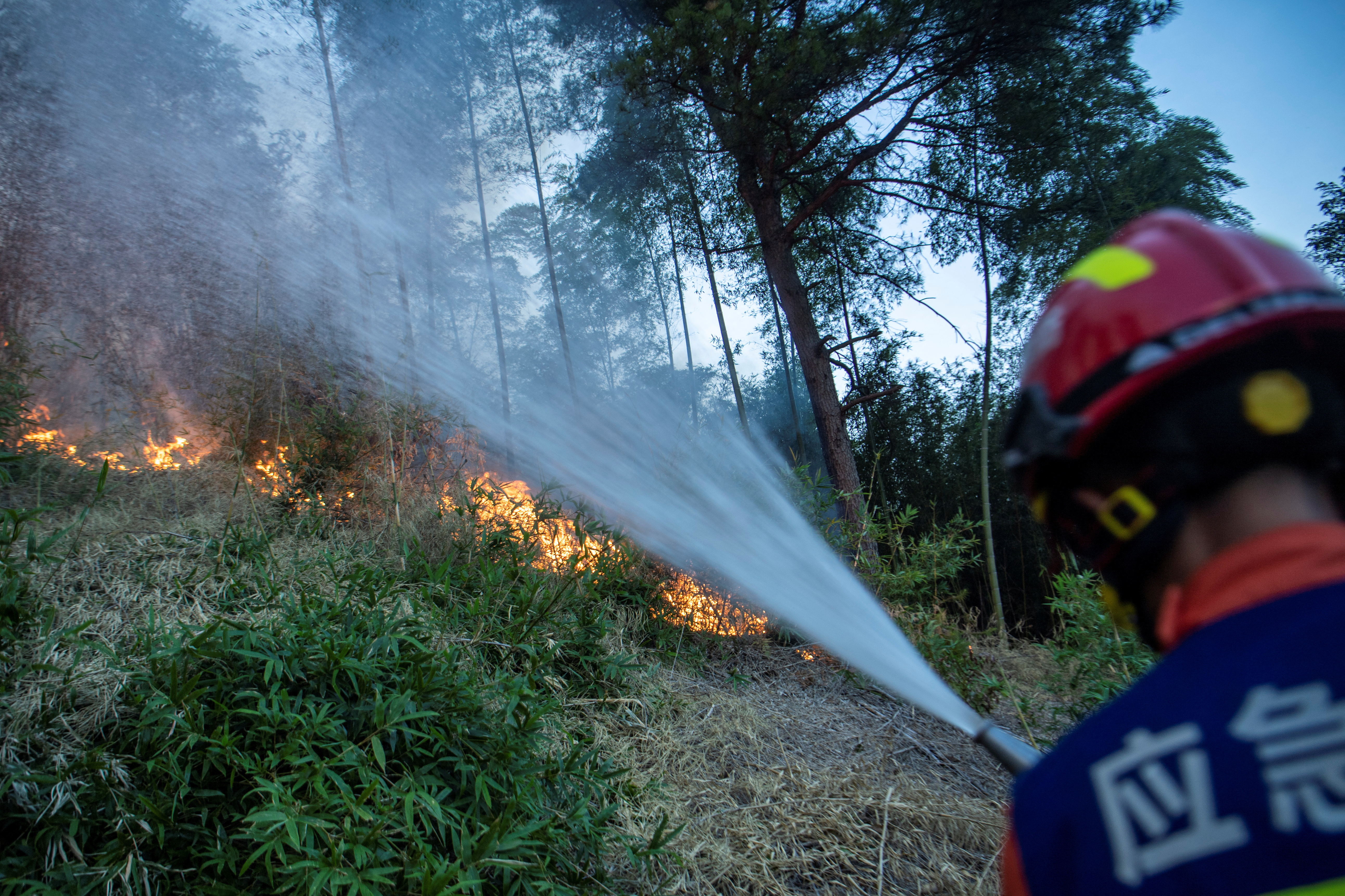 Firefighter puts out wildfire that broke out in a forest amid hot temperatures, in Luzhou, Sichuan