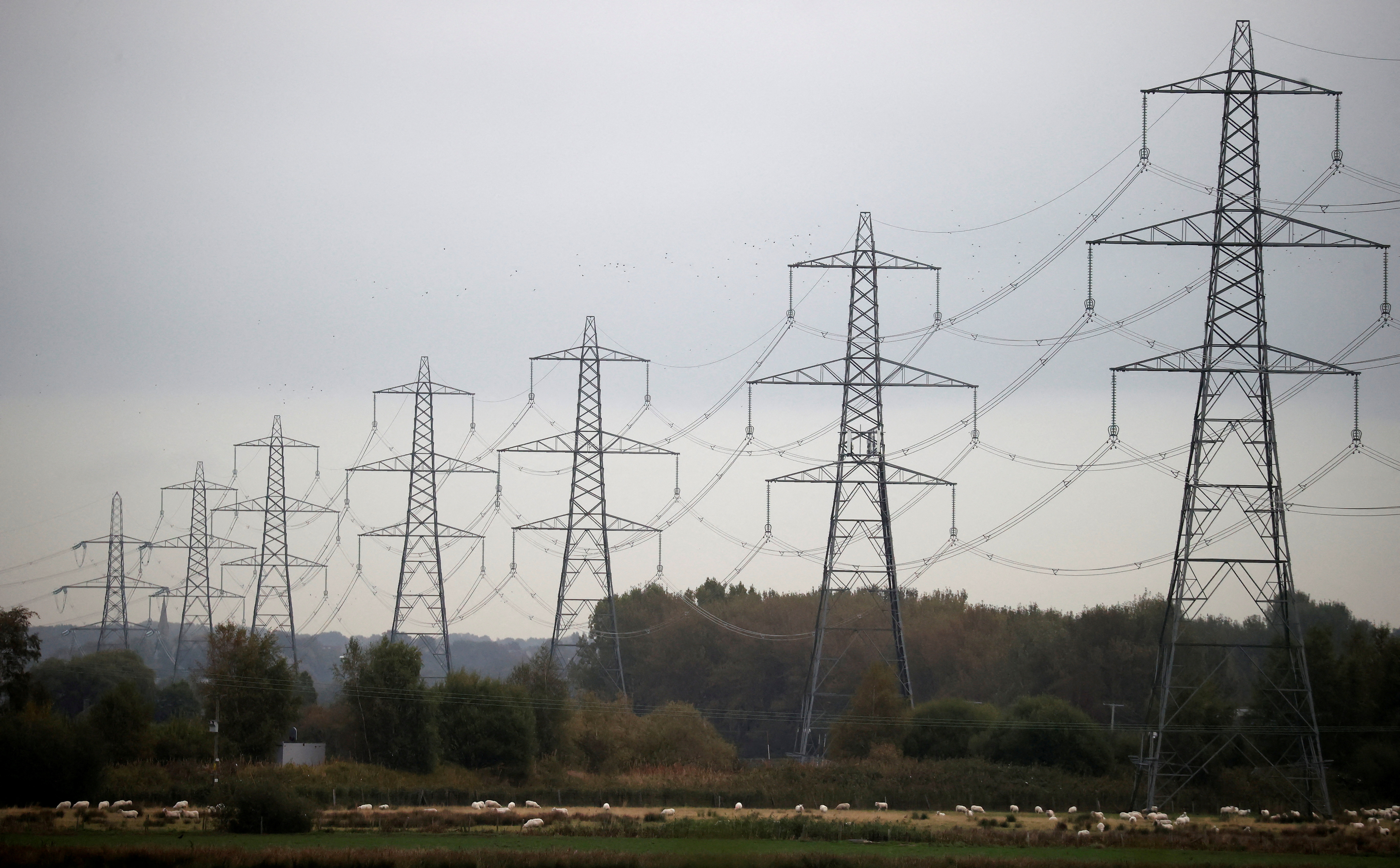 Row of electricity pylons near Ellesmere Port