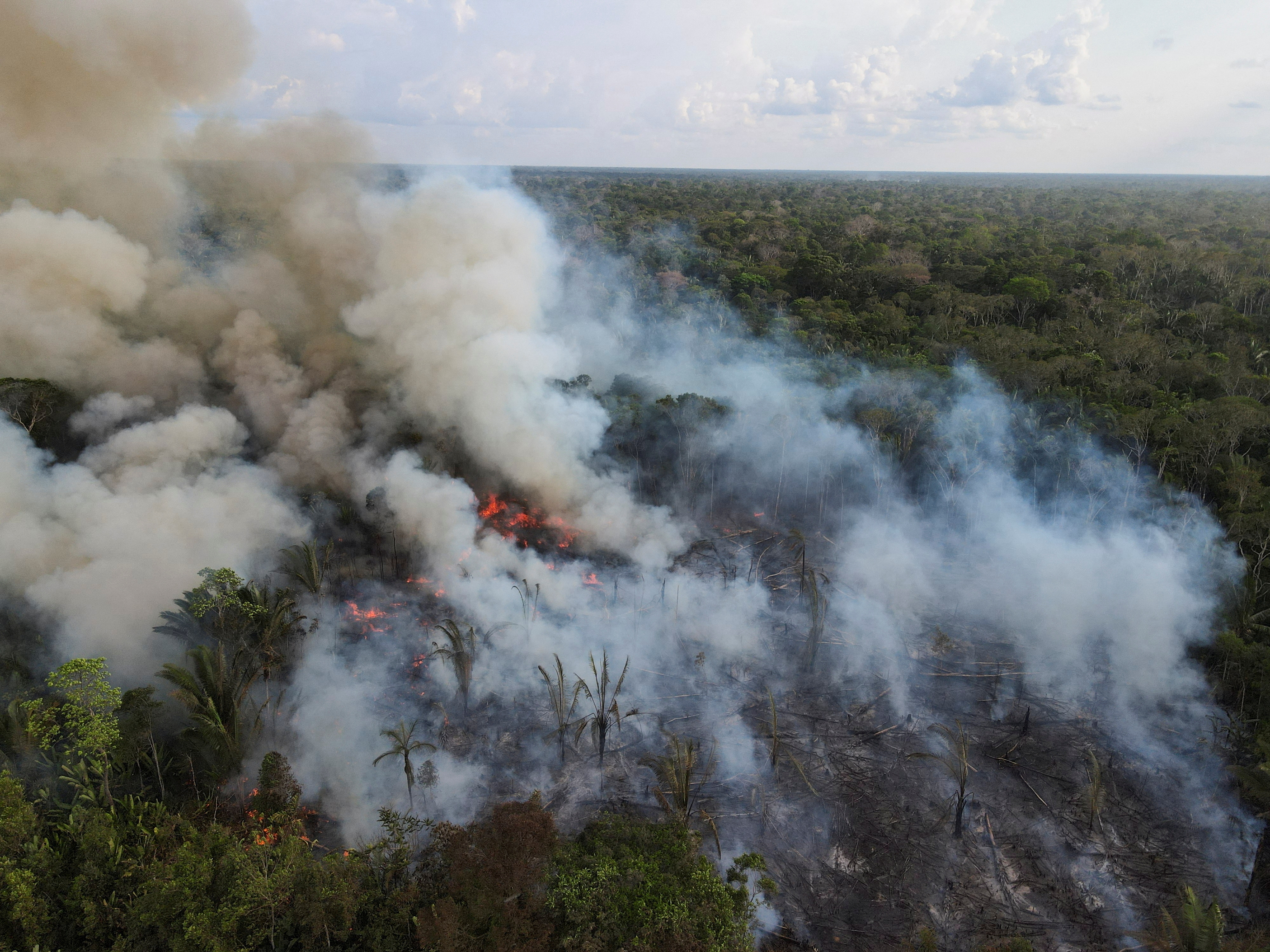 Fires surge in Brazilian Amazon for third straight year in August in Labrea