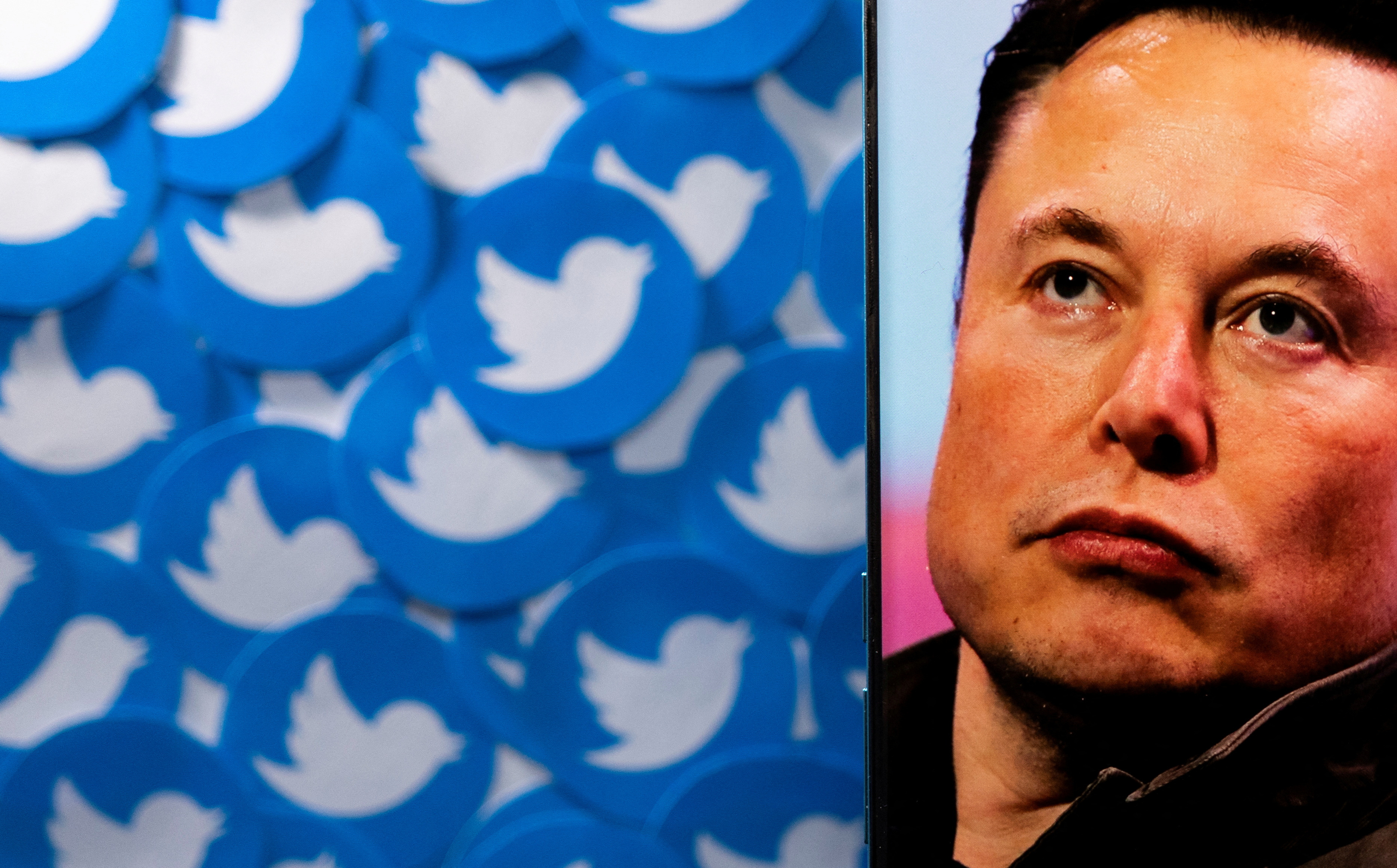 La ilustración muestra la imagen de Elon Musk en el teléfono inteligente y los logotipos de Twitter impresos.