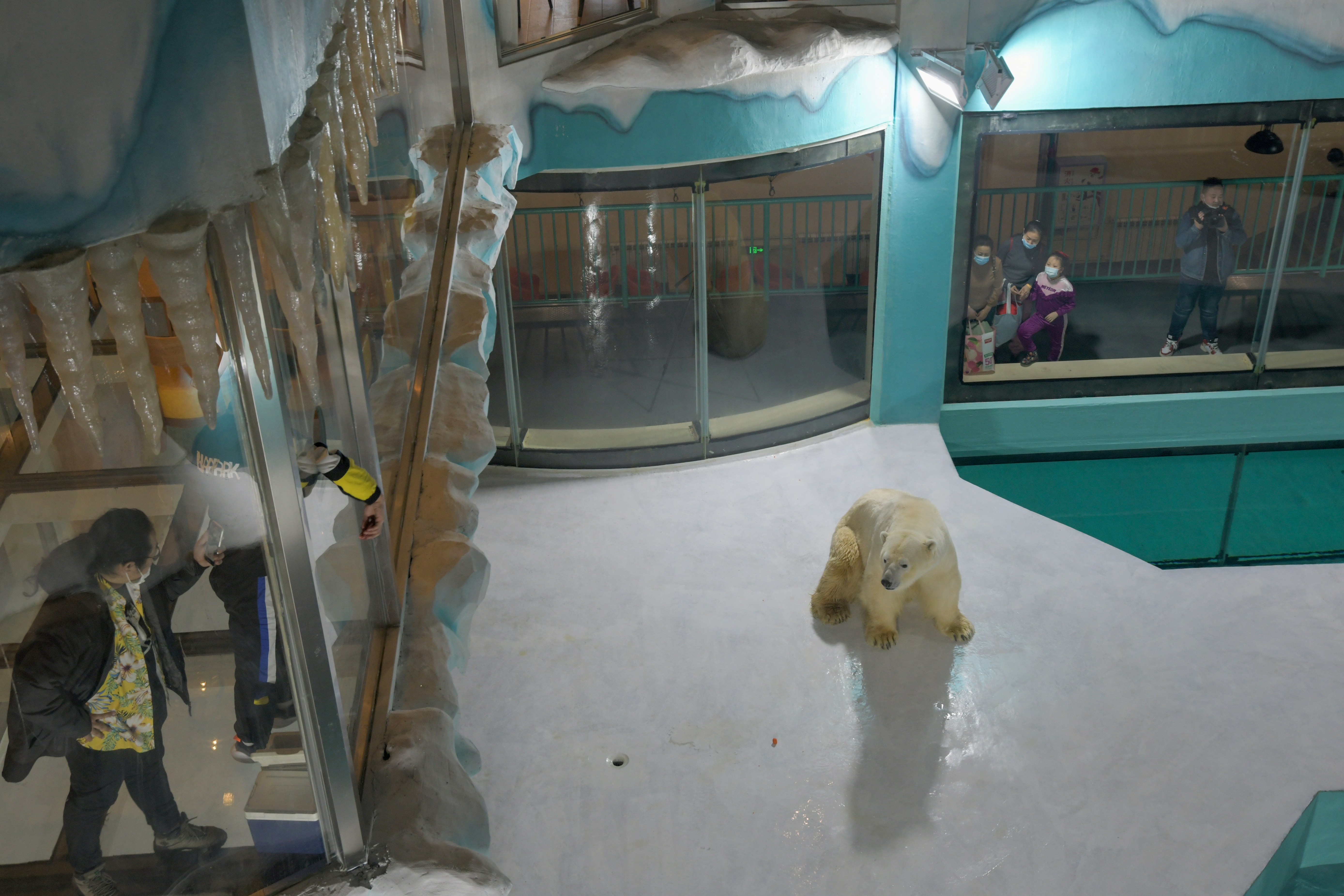 Visitors look at polar bears at an enclosure inside a hotel at a newly-opened polarland-themed park in Harbin