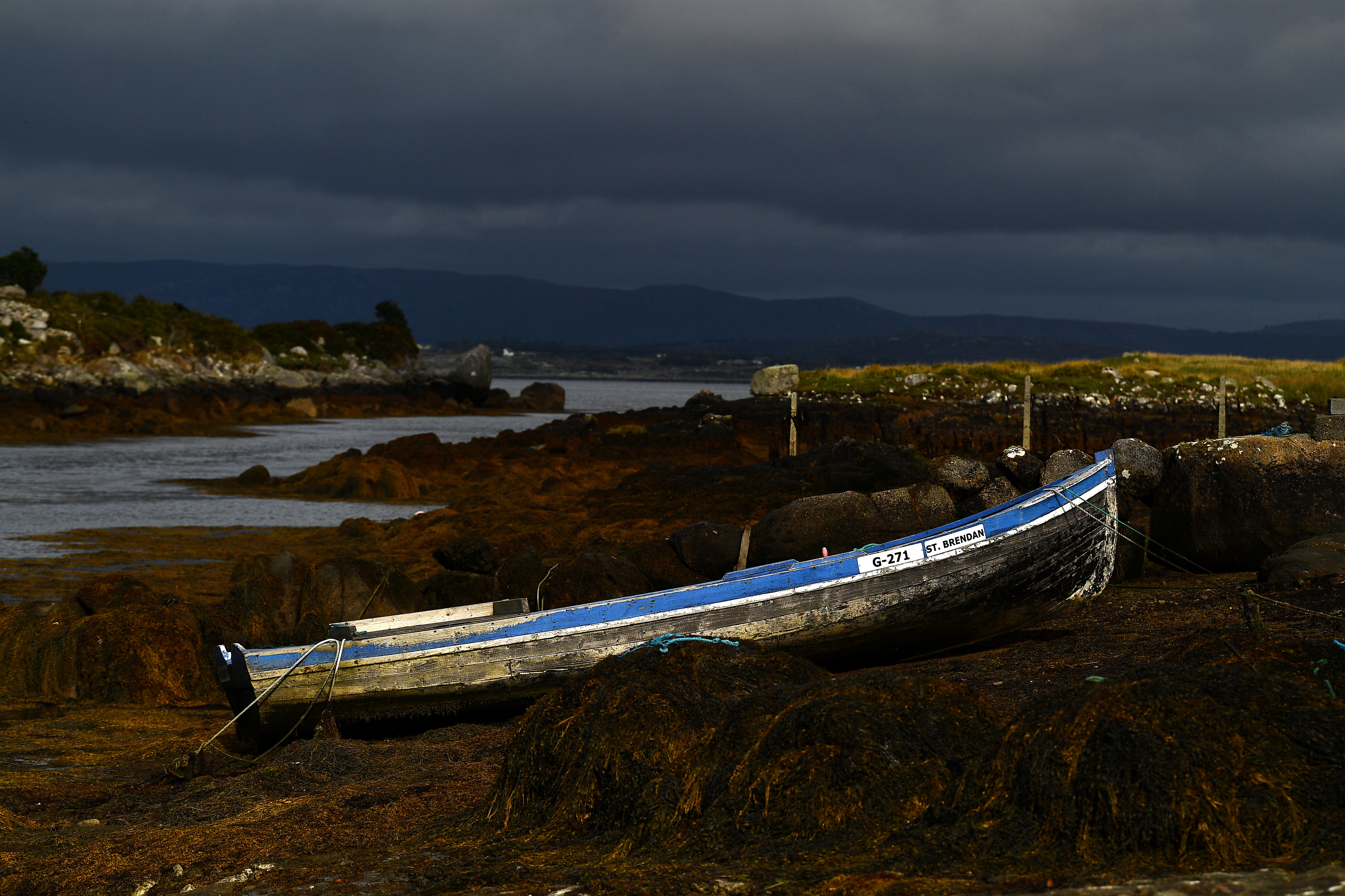 A traditional currach boat sits on the shore beside bundles of seaweed in the Connemara region of Kilkieran, Ireland, September 10, 2021.   REUTERS/Clodagh Kilcoyne  