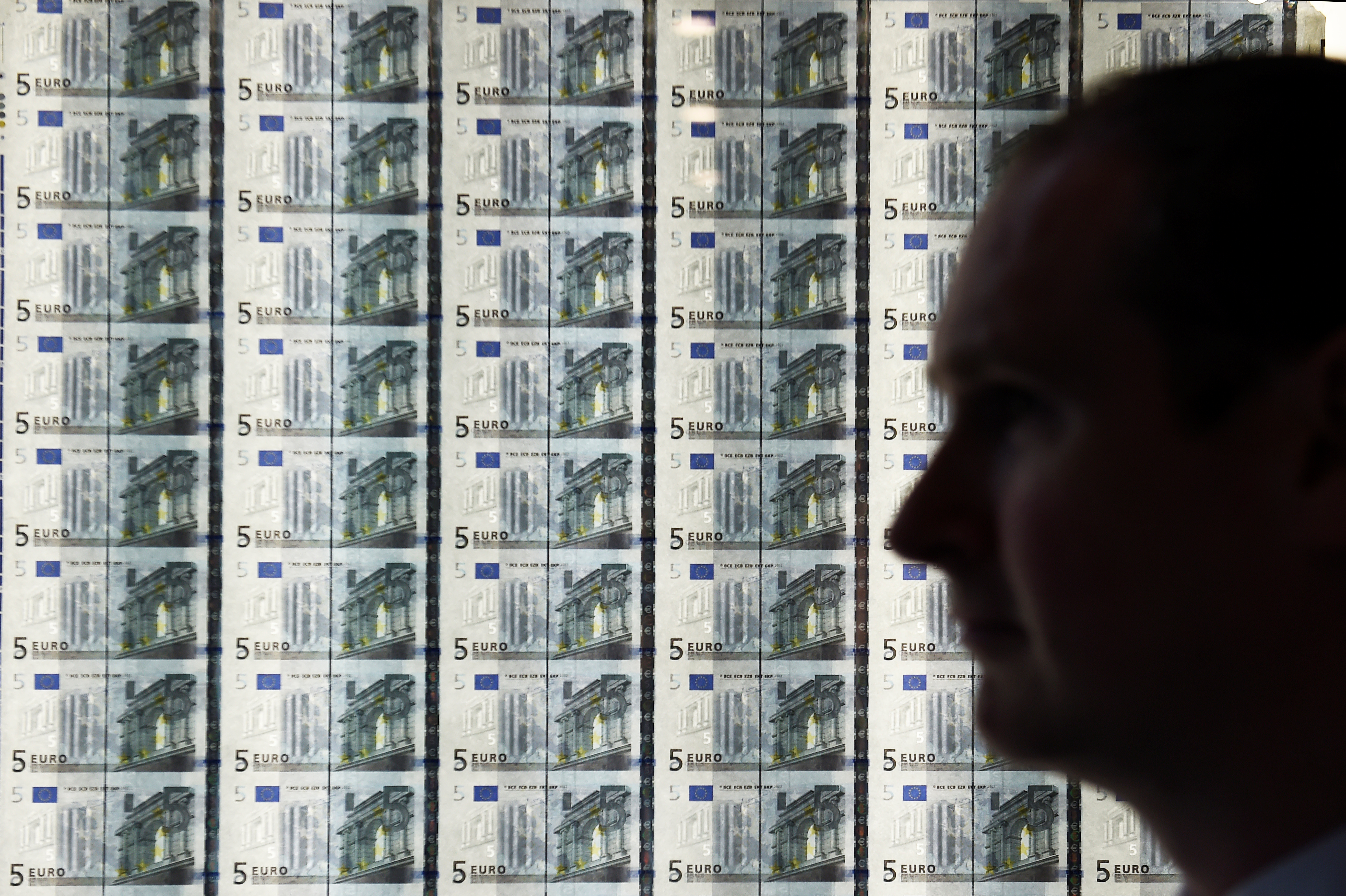 A man is seen in front of a sheet of five Euro notes at the opening of the new Central Bank of Ireland offices in Dublin