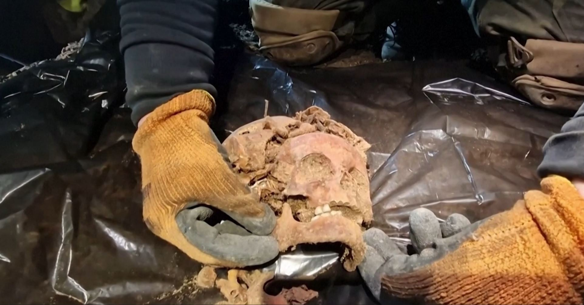 Skeletons missing hands and feet found in Hitler's Wolf's Lair