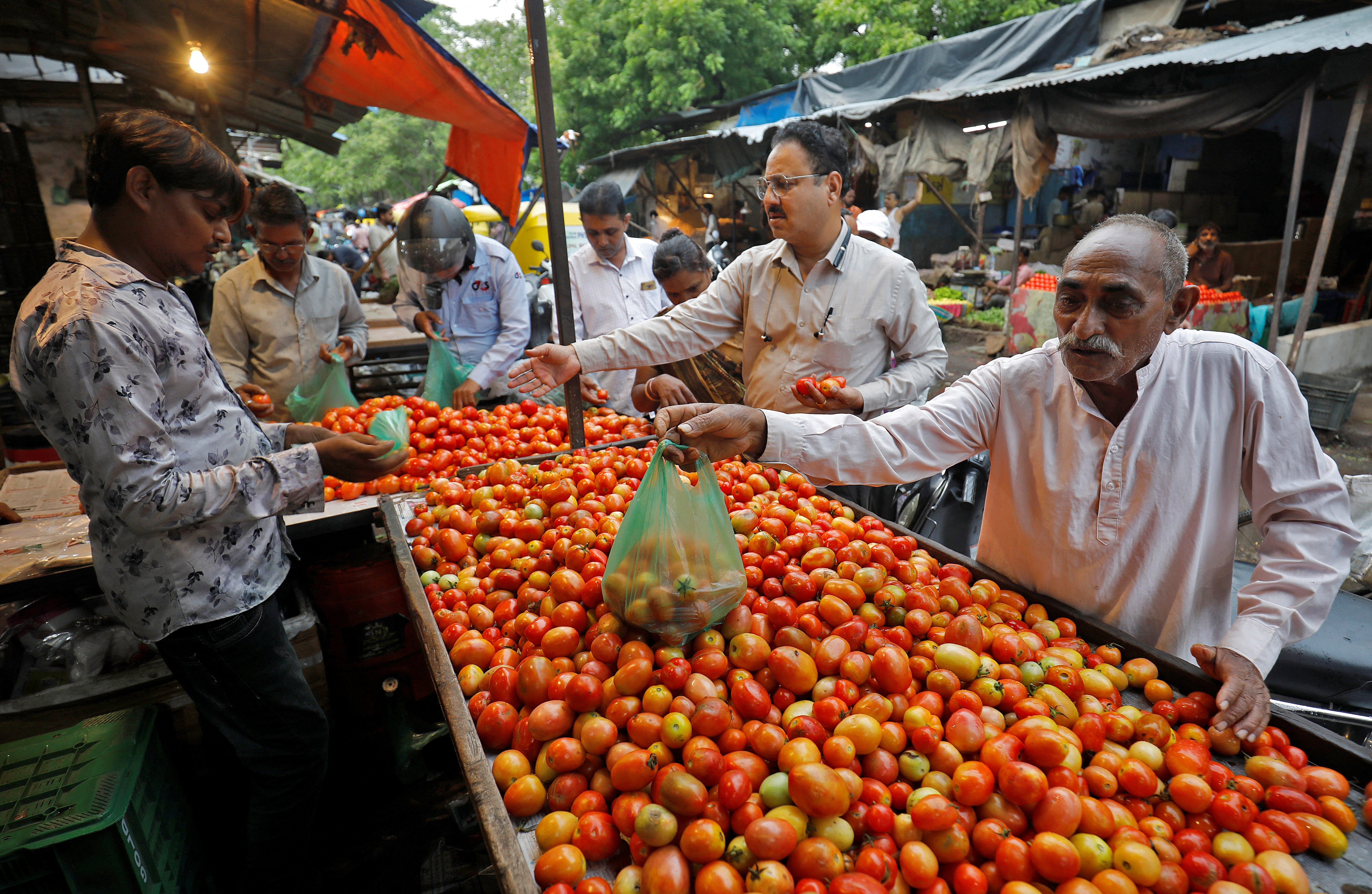 Tomato price shock hits Indian restaurants, cheaper puree sales boom |  Reuters