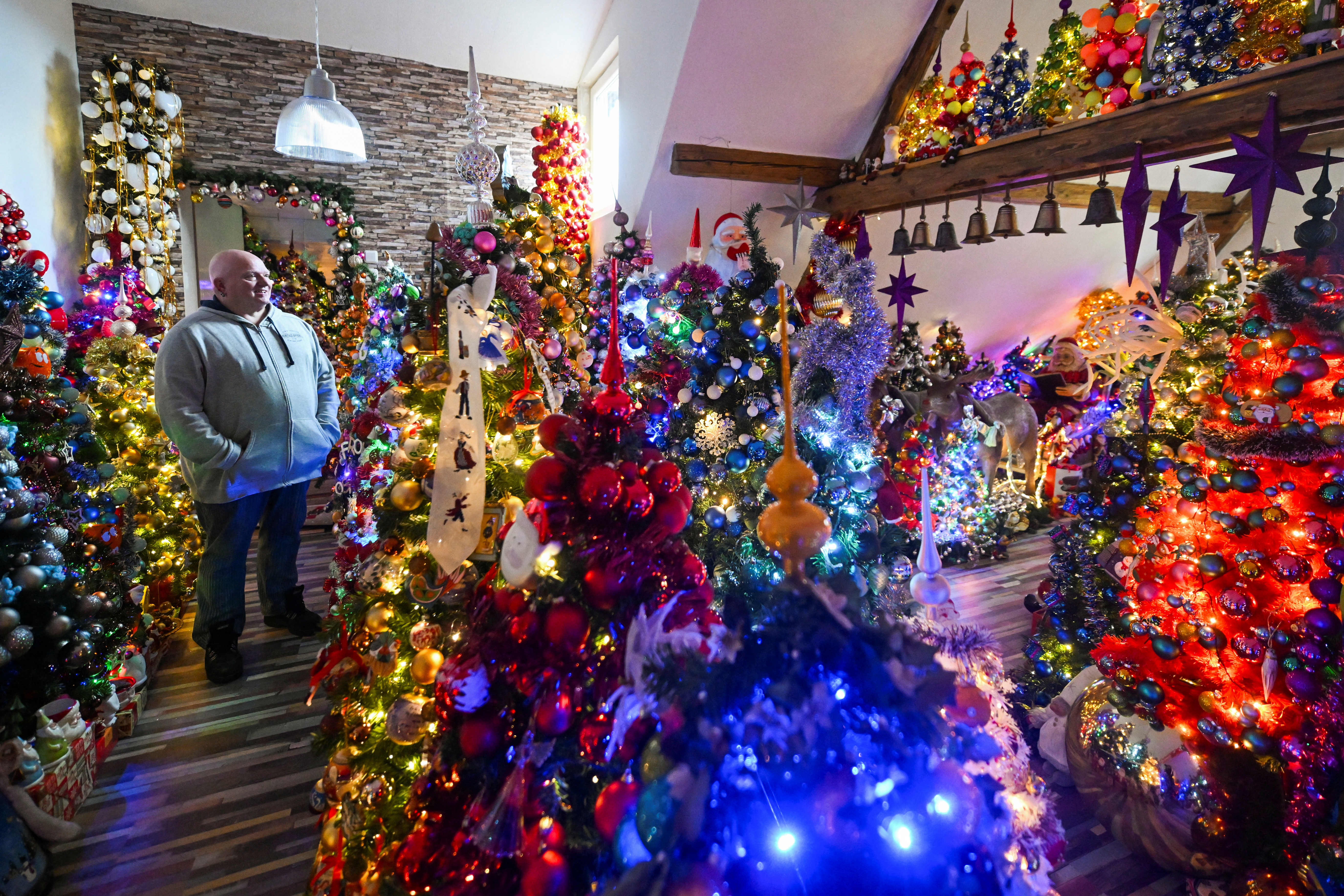 Record-breaking 605 Christmas trees bring Yuletide cheer