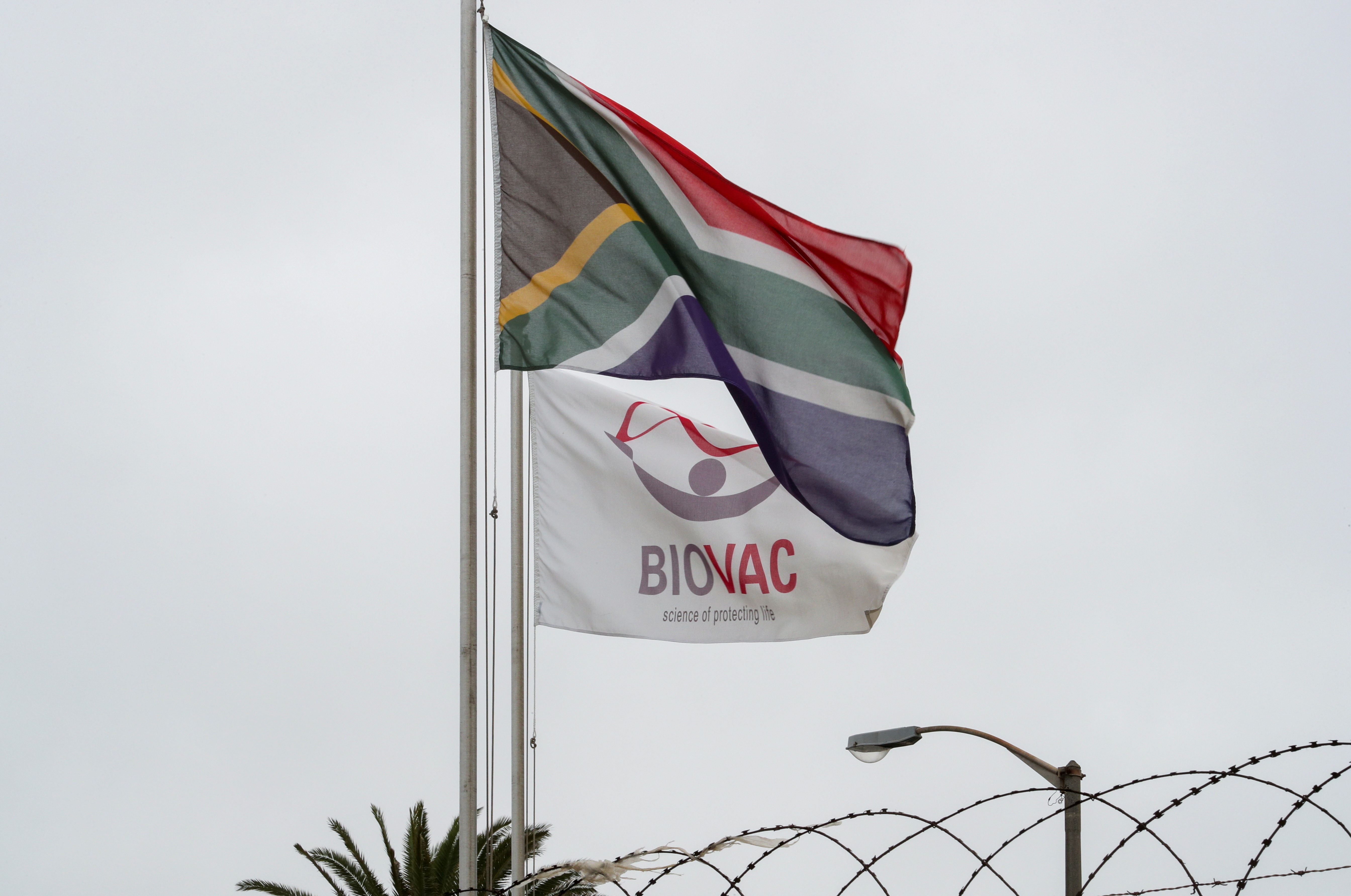 South African flag flies beside a flag bearing the logo of the vaccine manufacturing and storage company Biovac in Cape Town