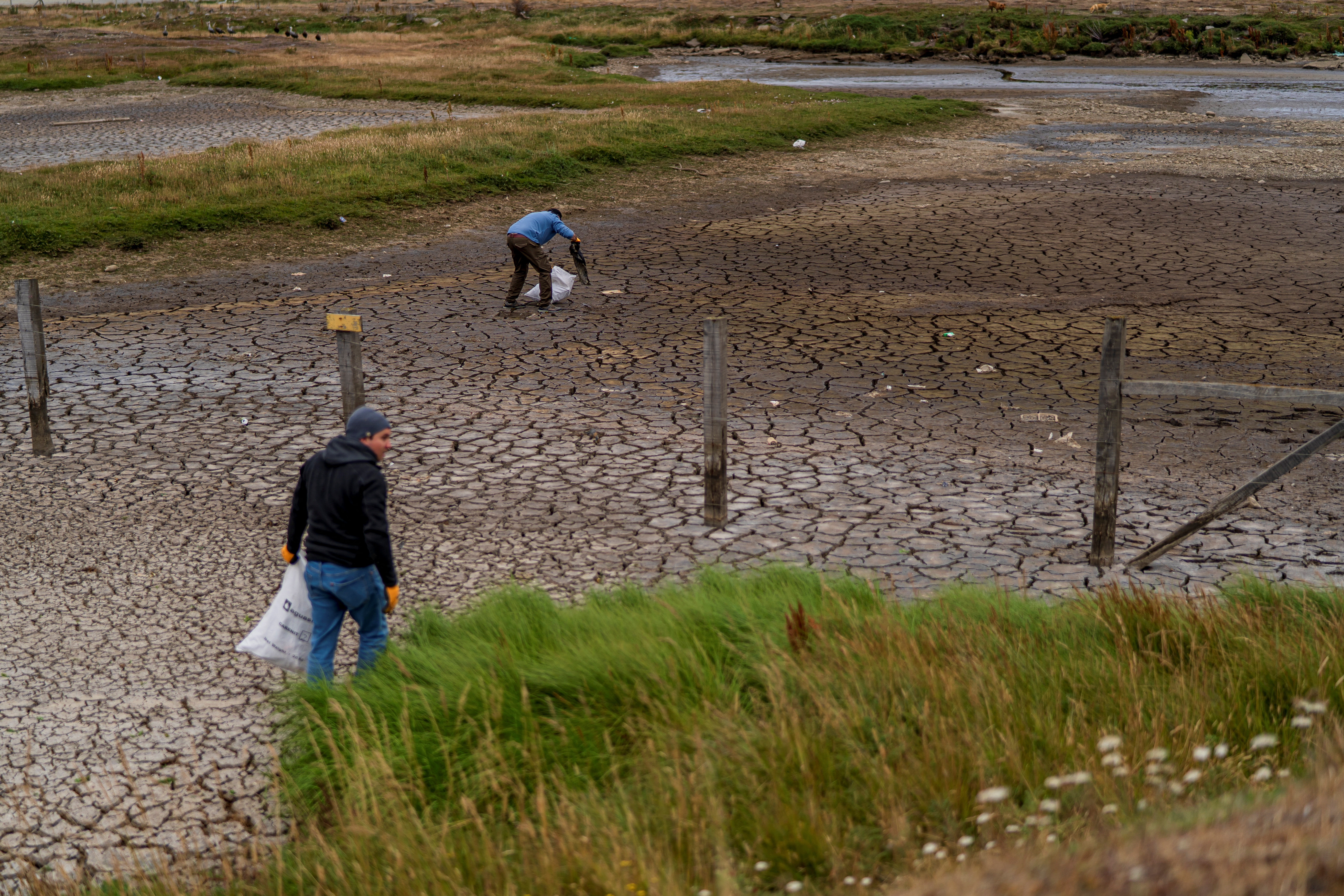 People clean a wetland that is drying up, in Punta Arenas