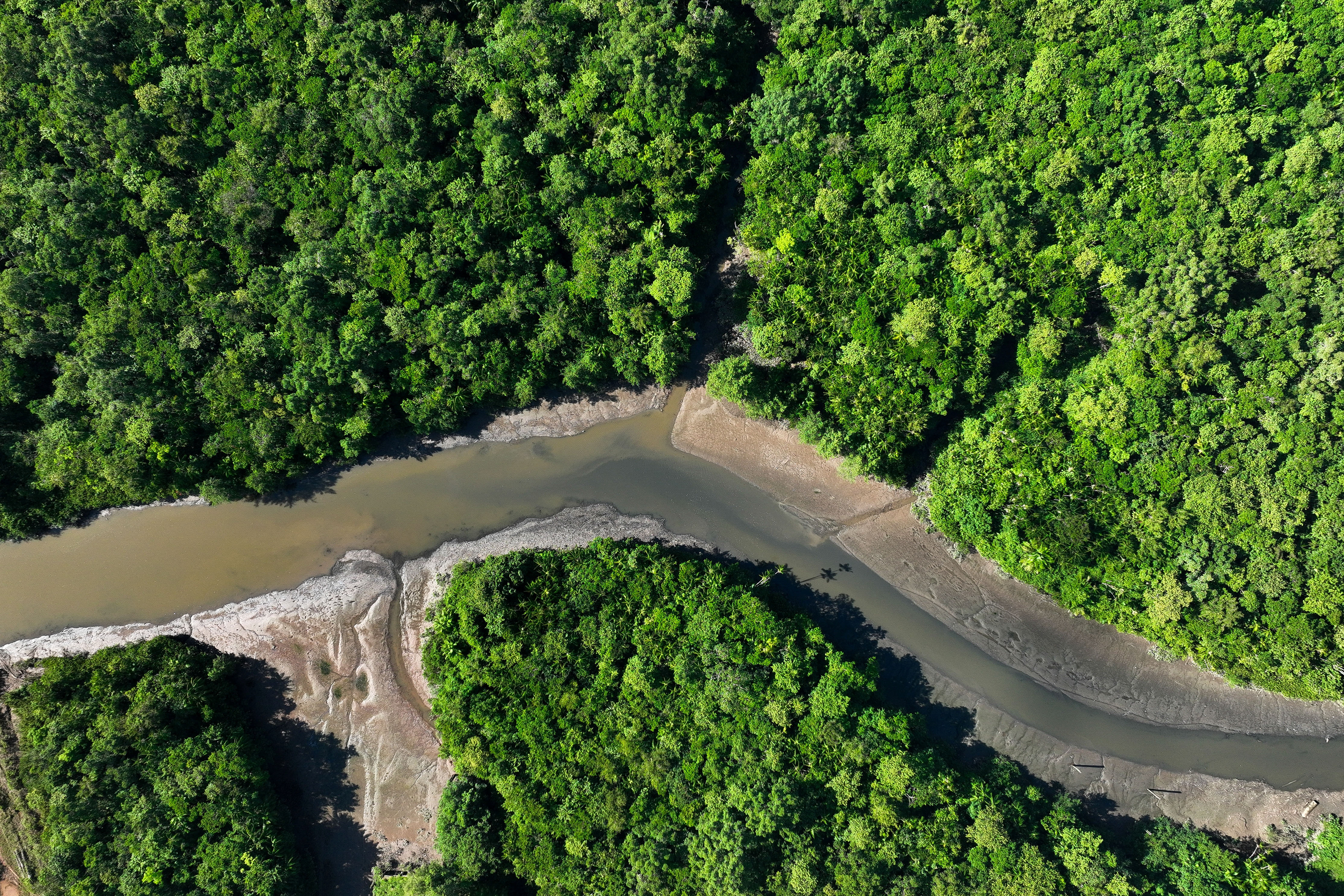 Brazil's  deforestation climbed 22% in a year : NPR