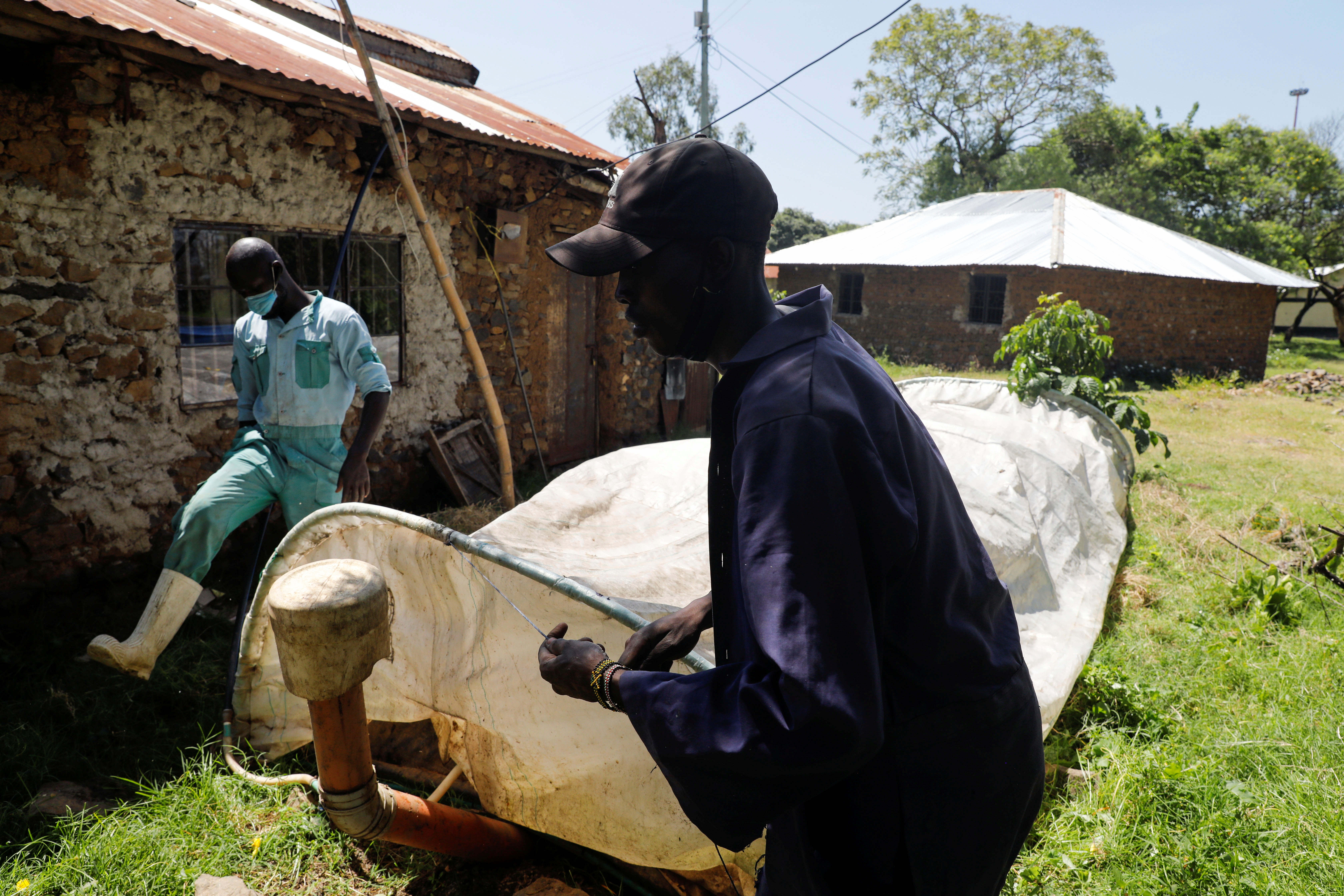 Entrepreneur and his team convert water hyacinth into biogas, near the town of Kisumu