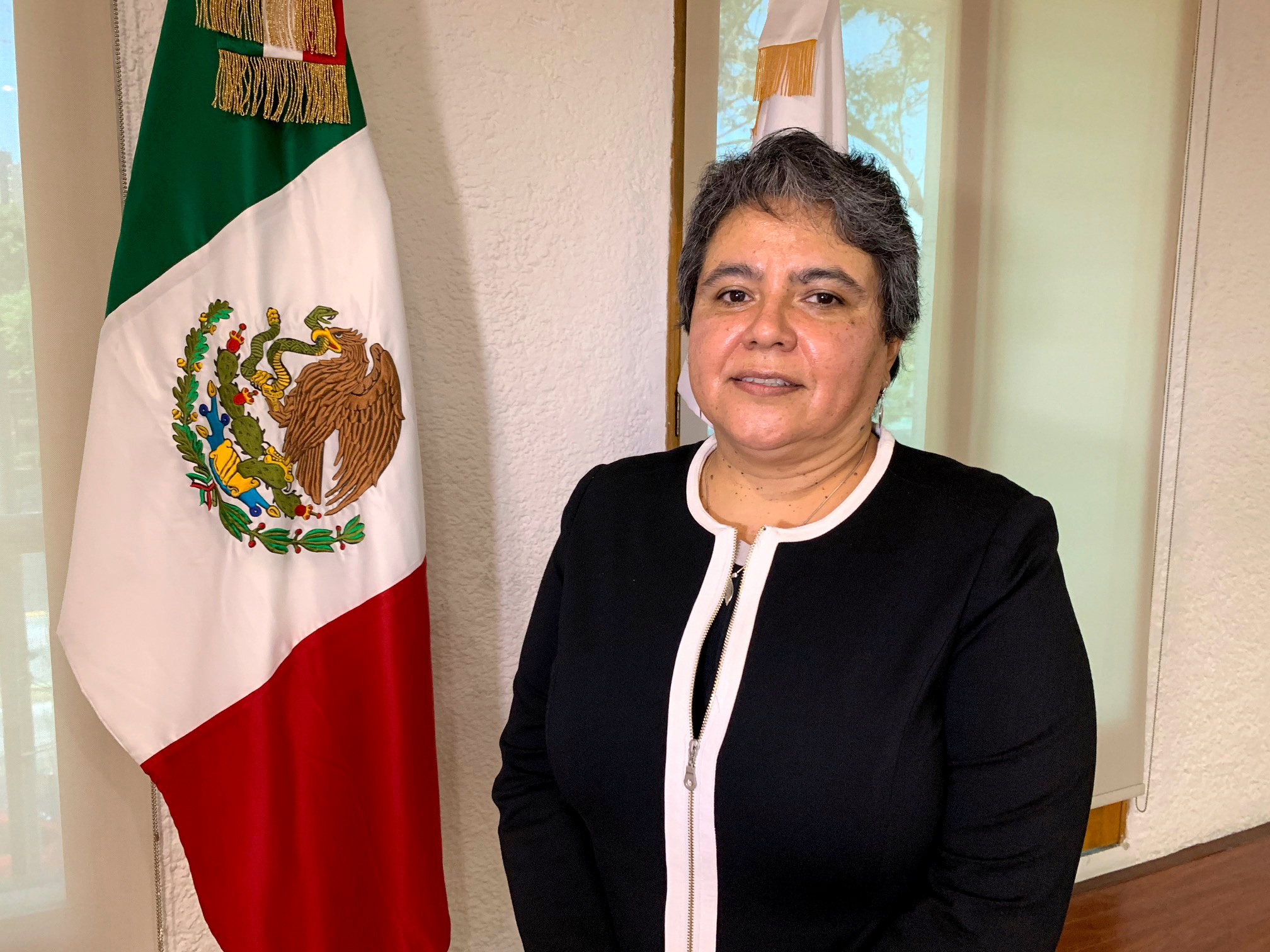 Head of Mexico's Tax Administration Service (SAT) Raquel Buenrostro poses for a picture during an interview with Reuters, in Mexico City