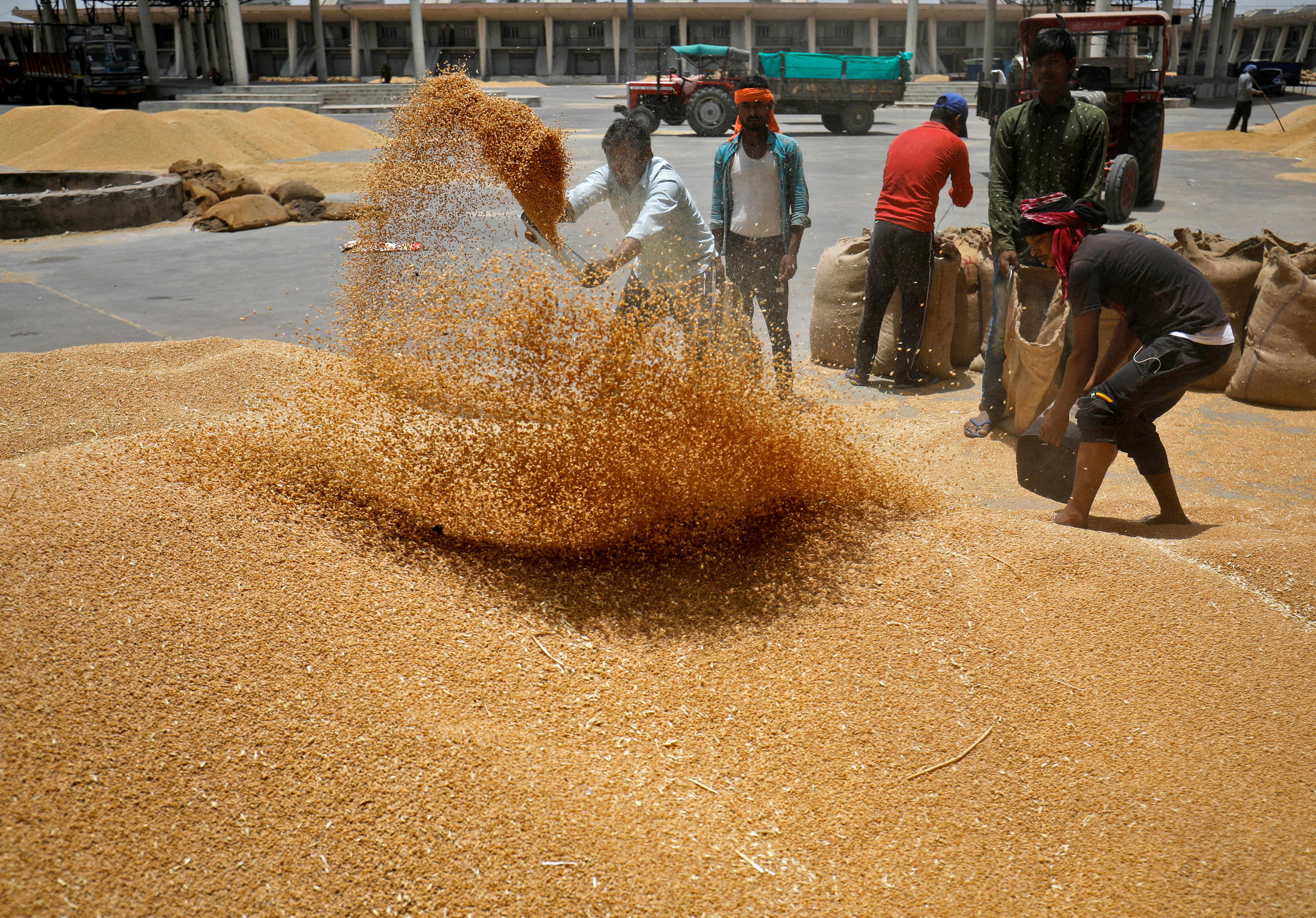 Los trabajadores tamizan el trigo antes de llenar los sacos en un mercado en las afueras de Ahmedabad.