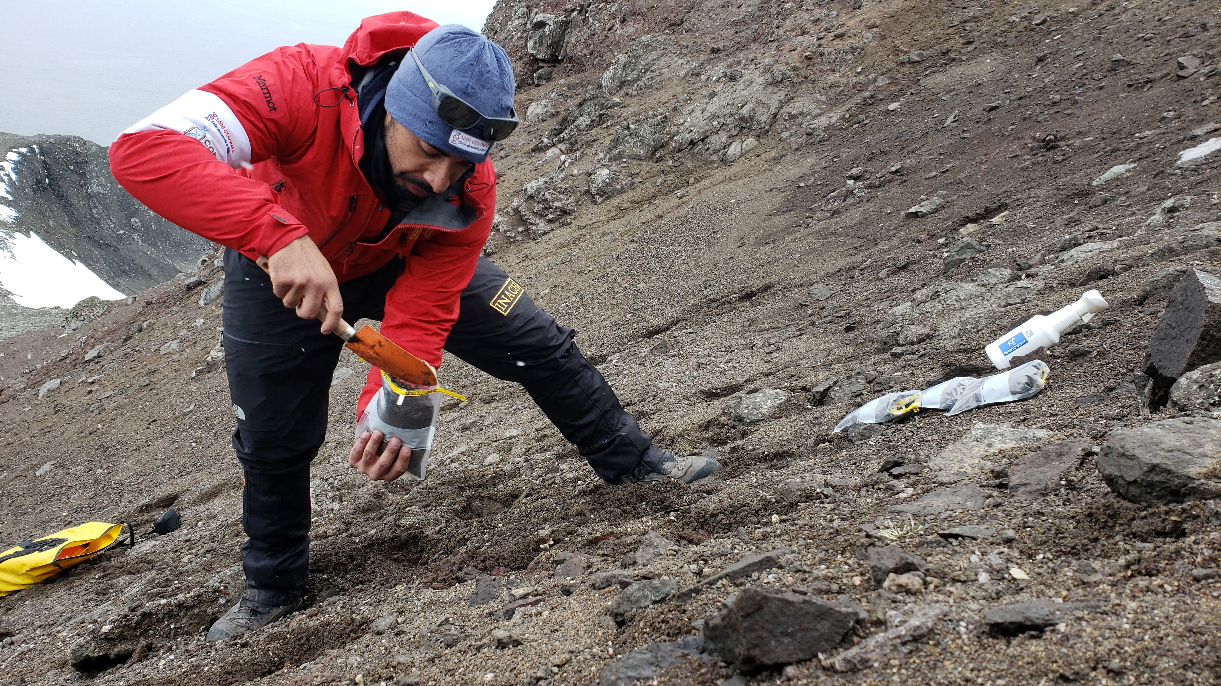 A scientist from the University of Chile collects organic material looking for a bacteria discovered in Antarctica