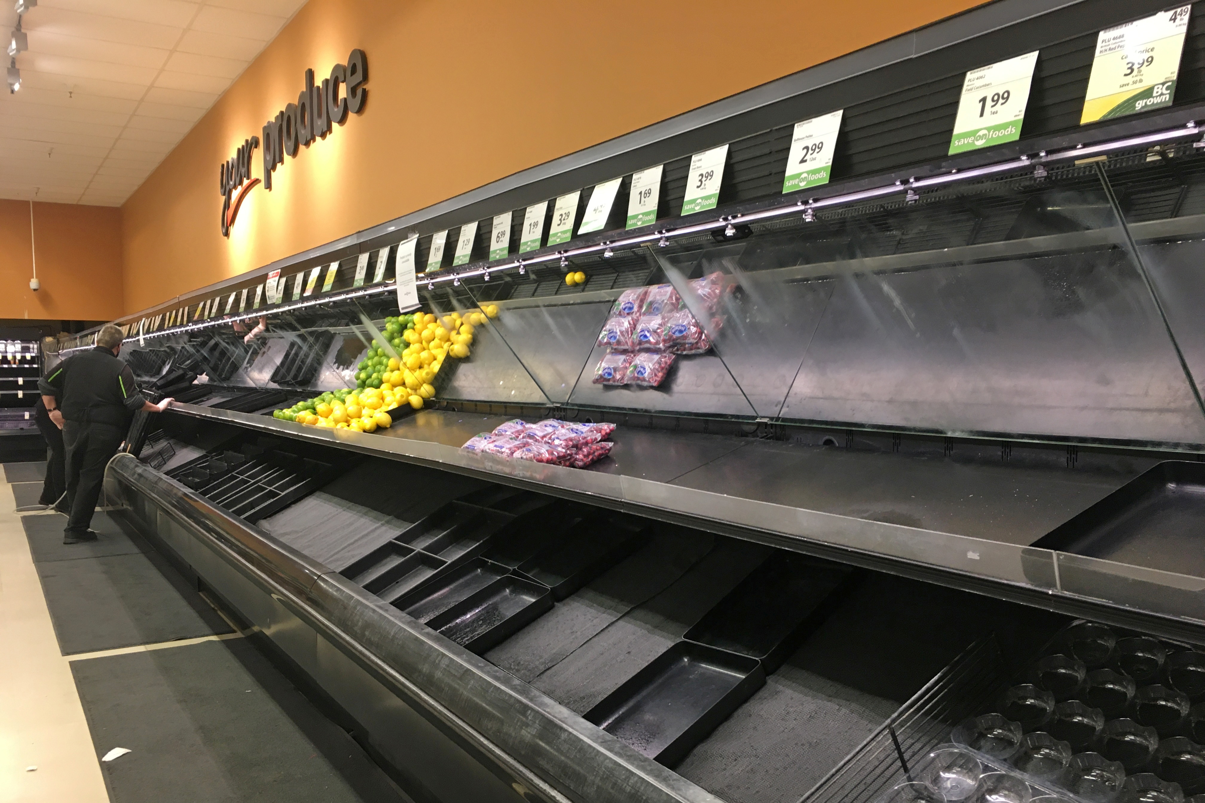 Produce shelves lie empty at the Save-On-Foods grocery store in Revelstoke
