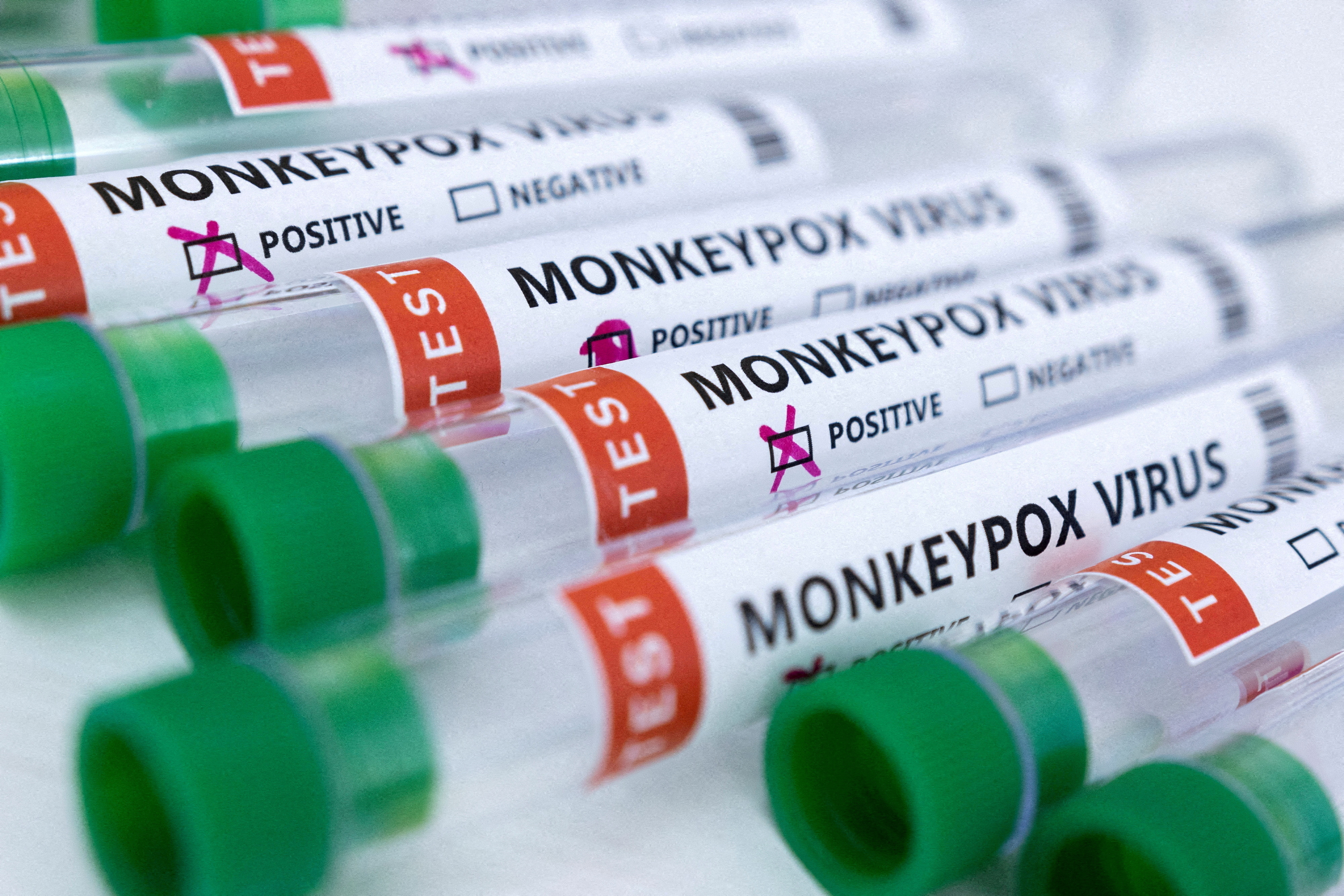 Illustration shows test tubes labelled "Monkeypox virus positive and negative"