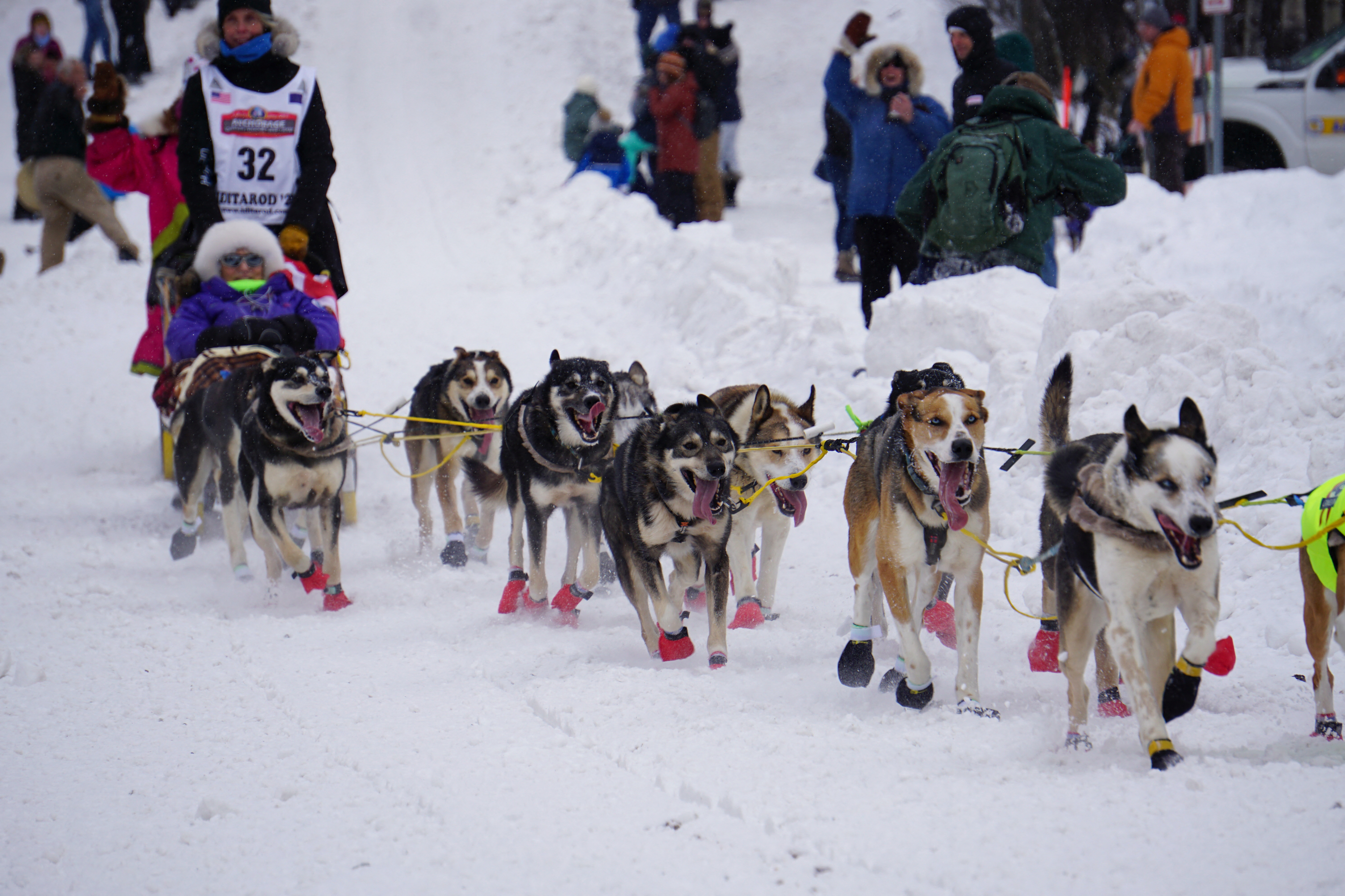 50th running of the Iditarod commences