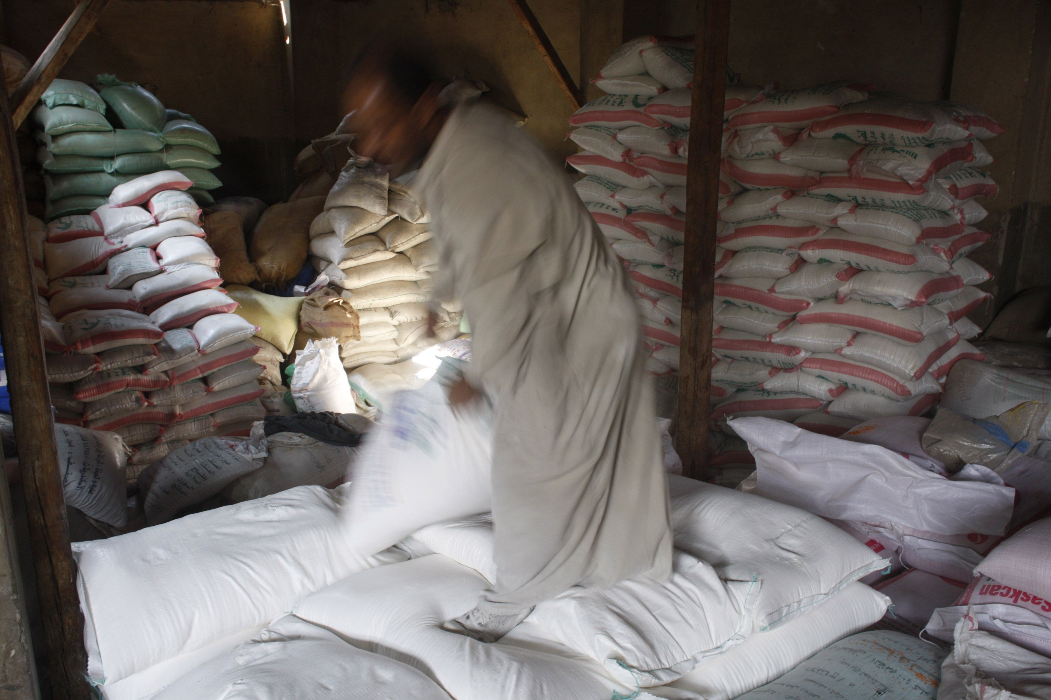 An Egyptian labourer carry sacks of wheat flour at a warehouse in a grain market in Cairo November 9, 2008.