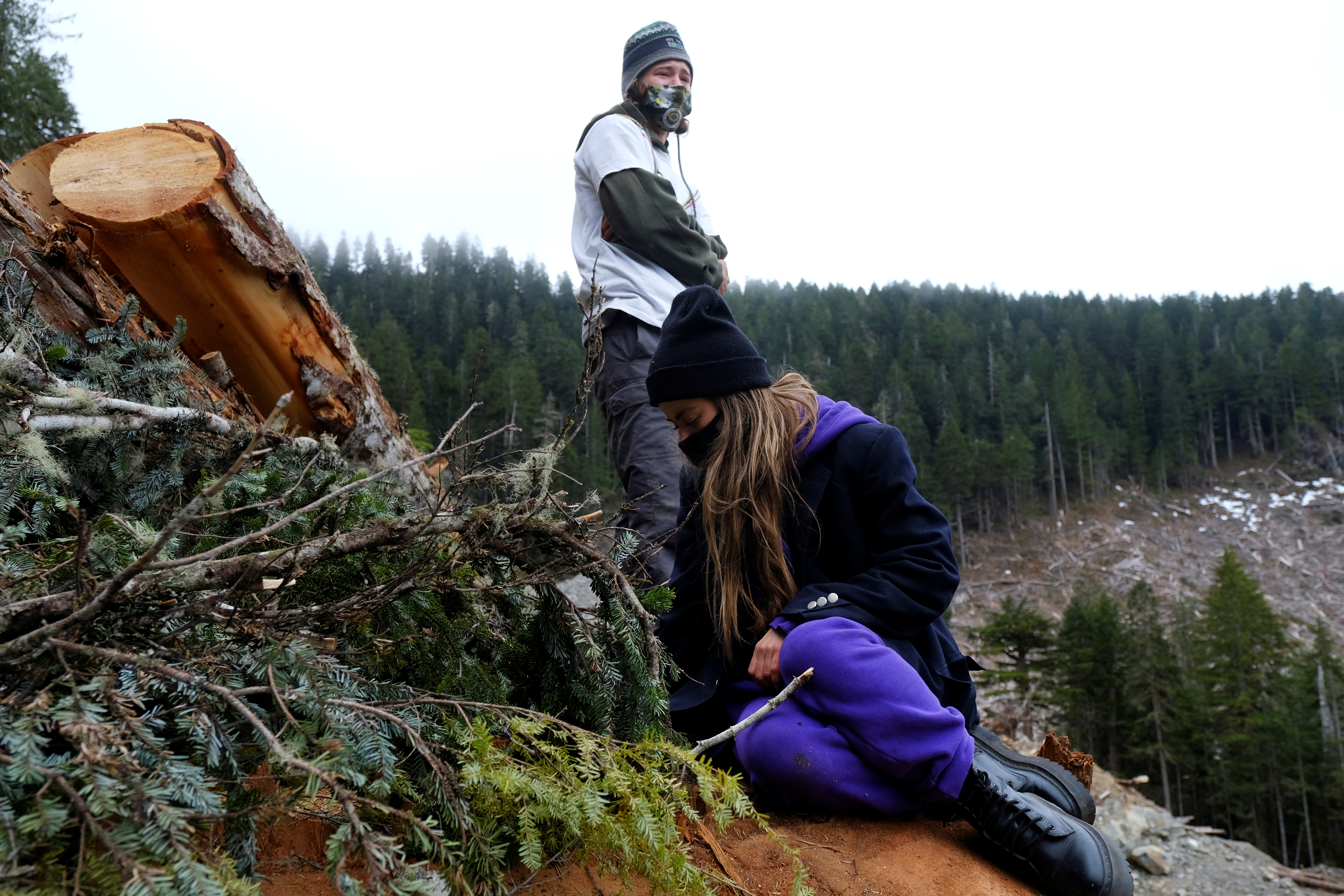Two activists count the growth rings of a recently felled large tree in the BD 2000 cut block near Port Renfrew