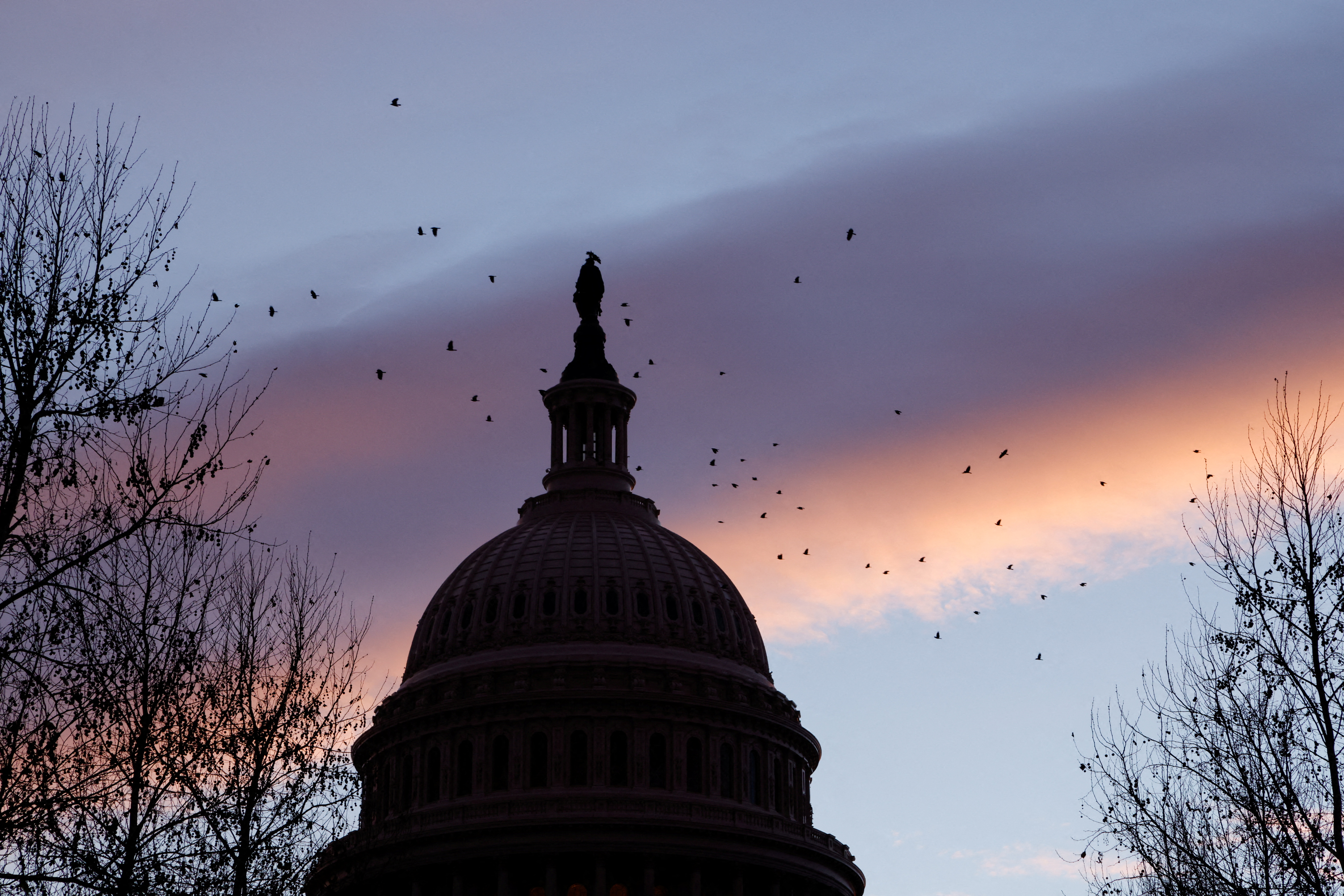 Birds fly next to the dome of the U.S. Capitol at dawn on the first anniversary of the January 6, 2021 attack on the Capitol by supporters of former President Donald Trump, on Capitol Hill in Washington, U.S., January 6, 2022. REUTERS/Jonathan Ernst