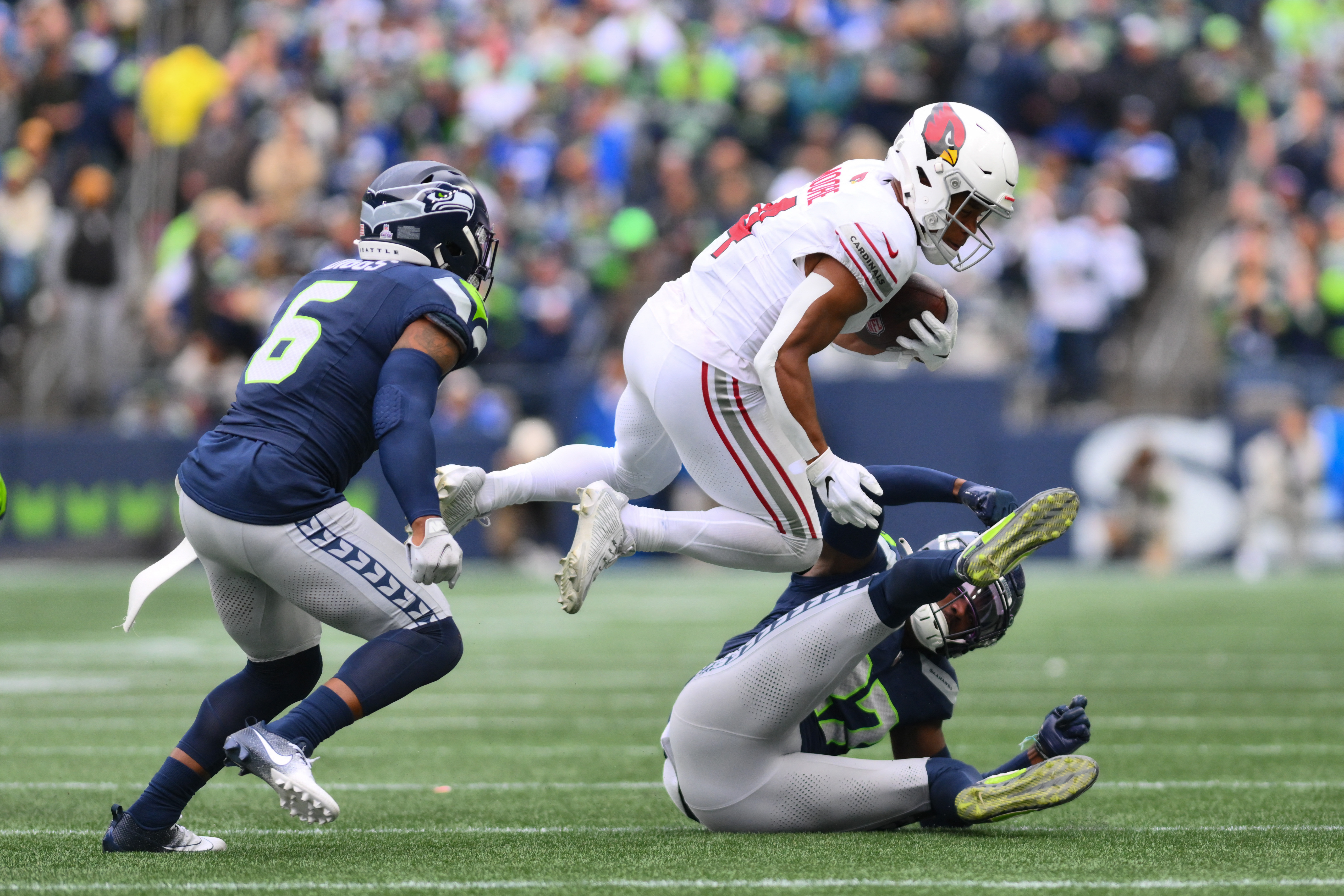 NFL: Arizona Cardinals at Seattle Seahawks, Fieldlevel