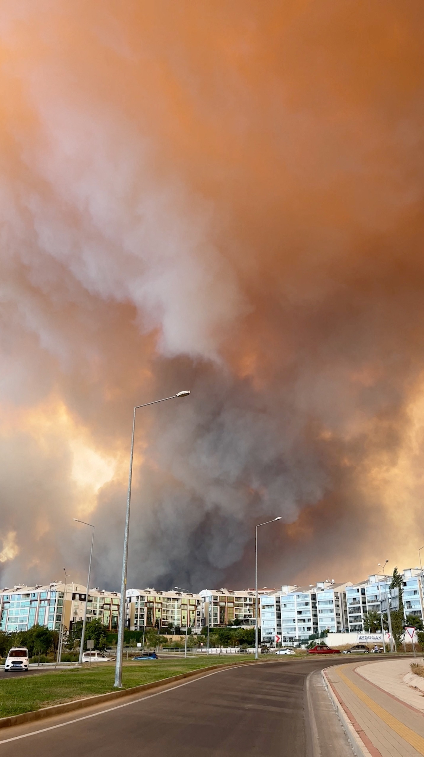 Smoke billows from a wildfire, in Canakkale