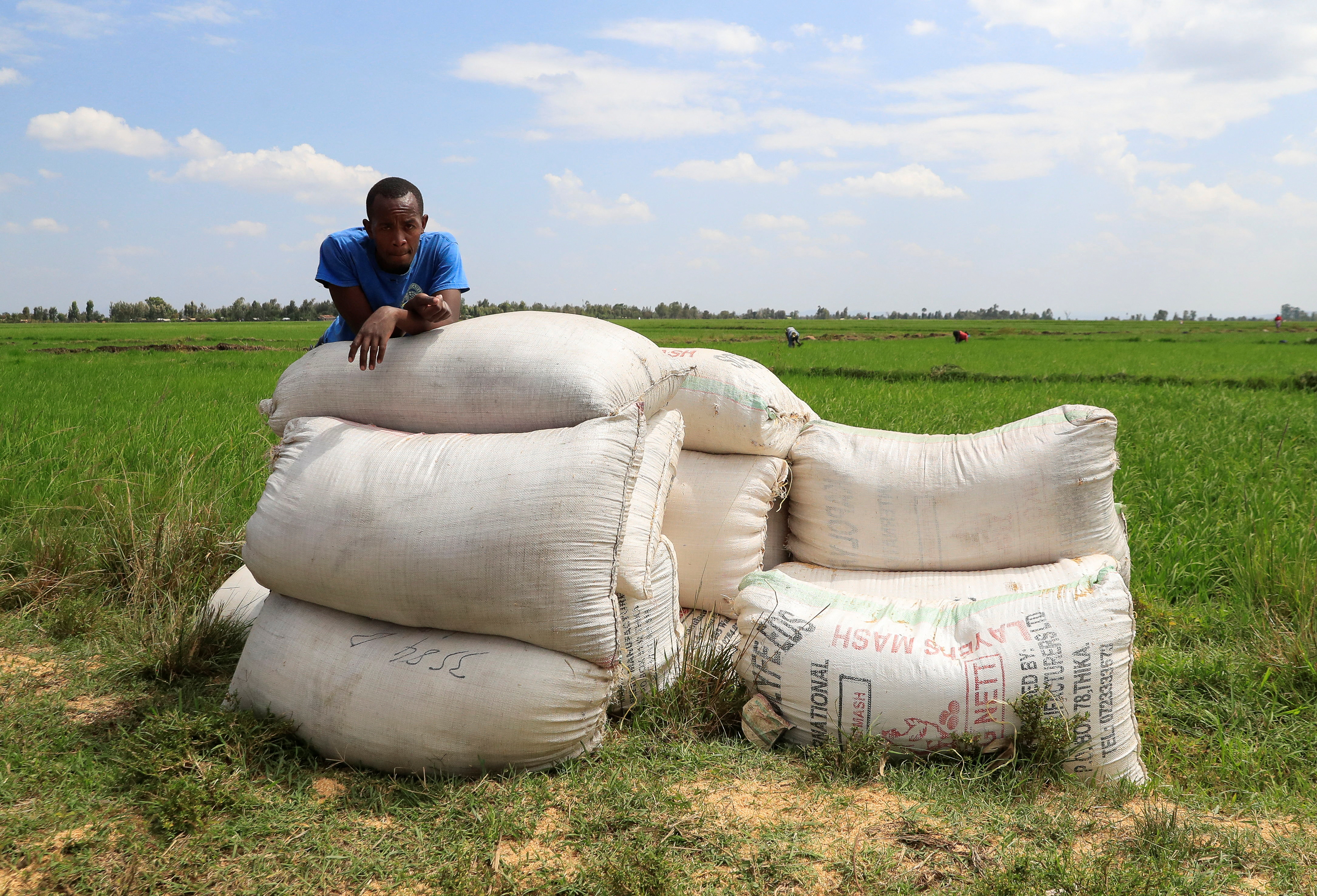 Kenyan entrepreneur turns farm waste into low cost organic fertilizer in Mwea