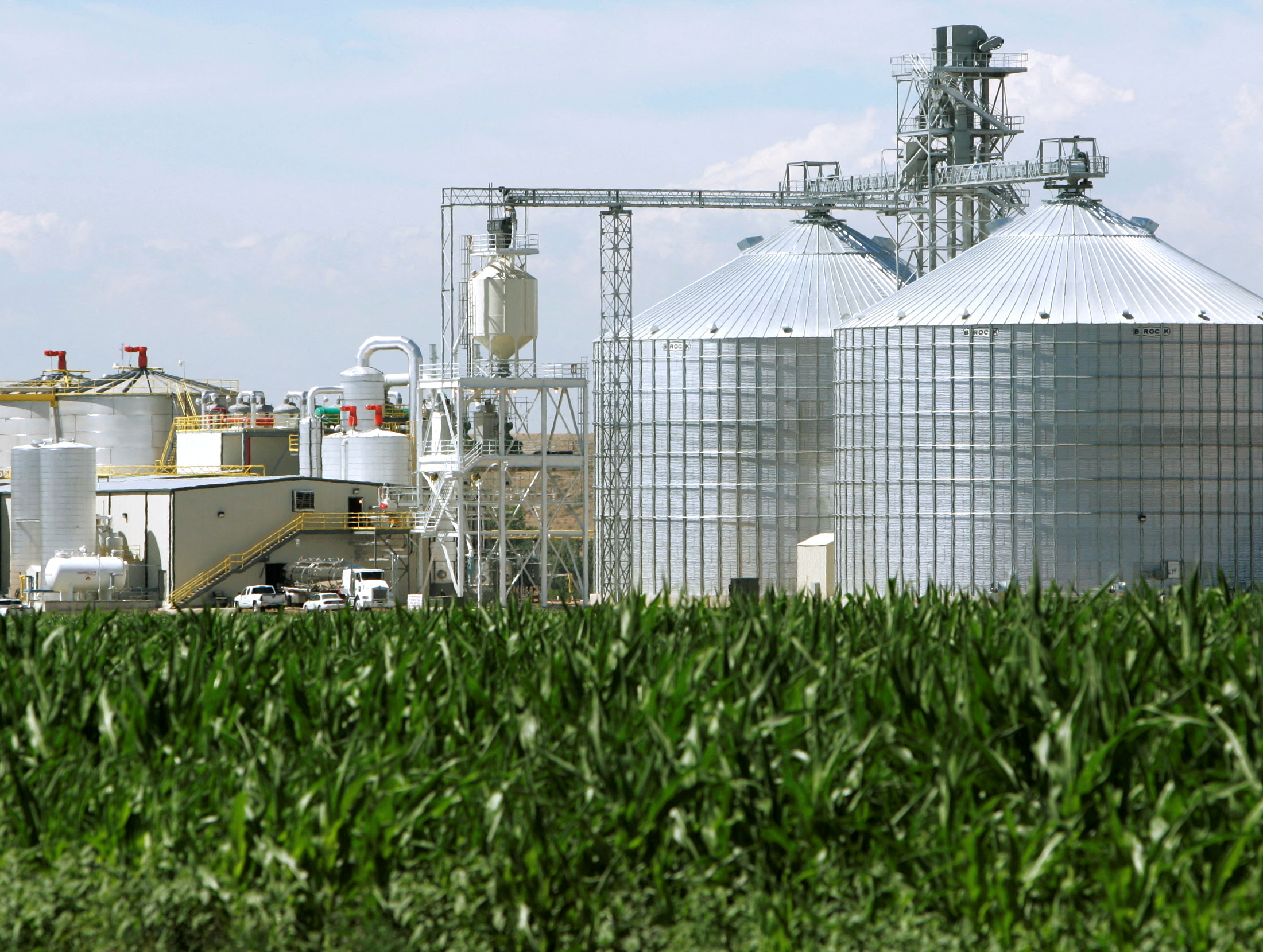 An ethanol plant with its giant corn silos next to a cornfield in Windsor, Colorado July 7, 2006./File Photo