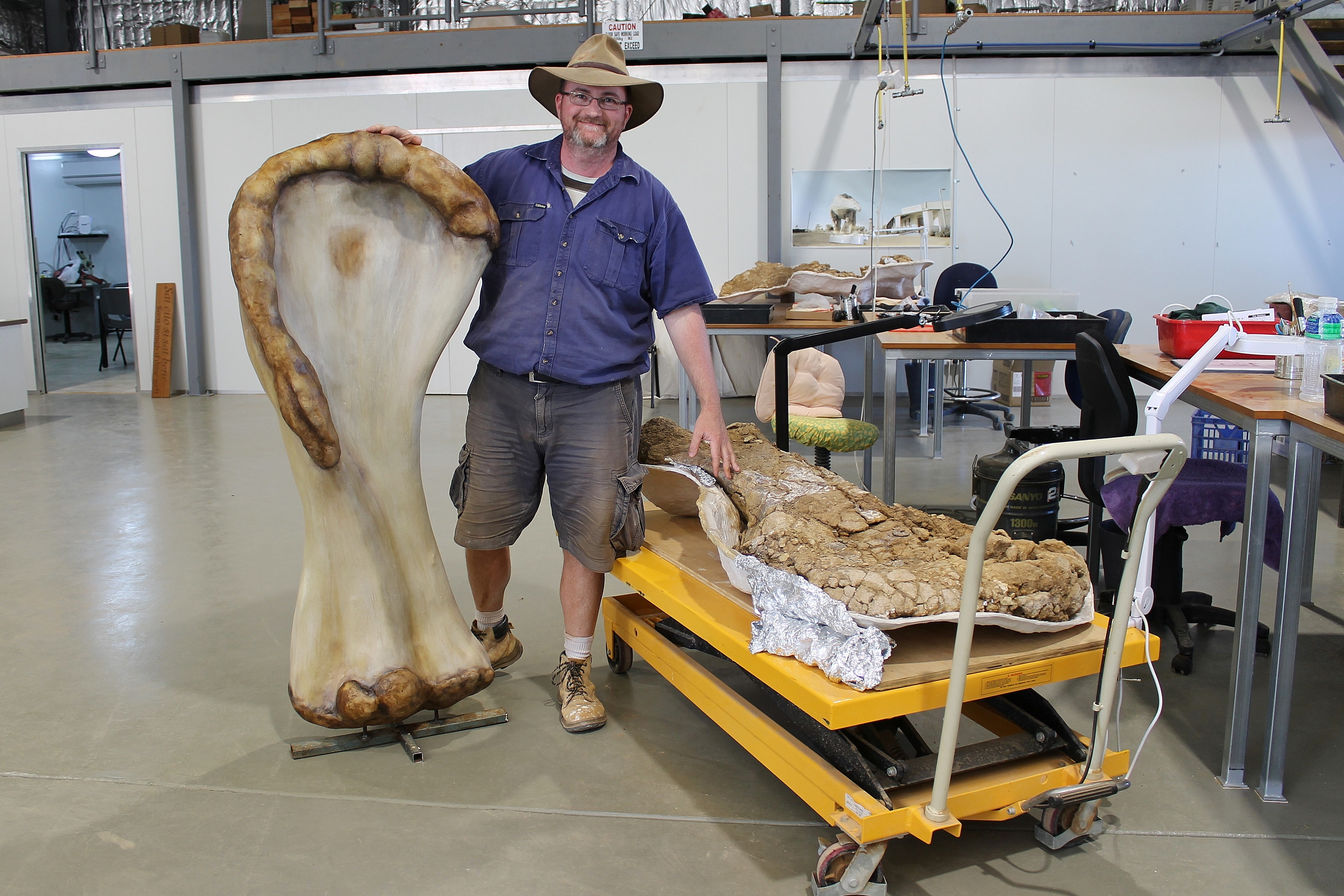 New species of dinosaur unearthed in Queensland confirmed to be largest ever found in Australia
