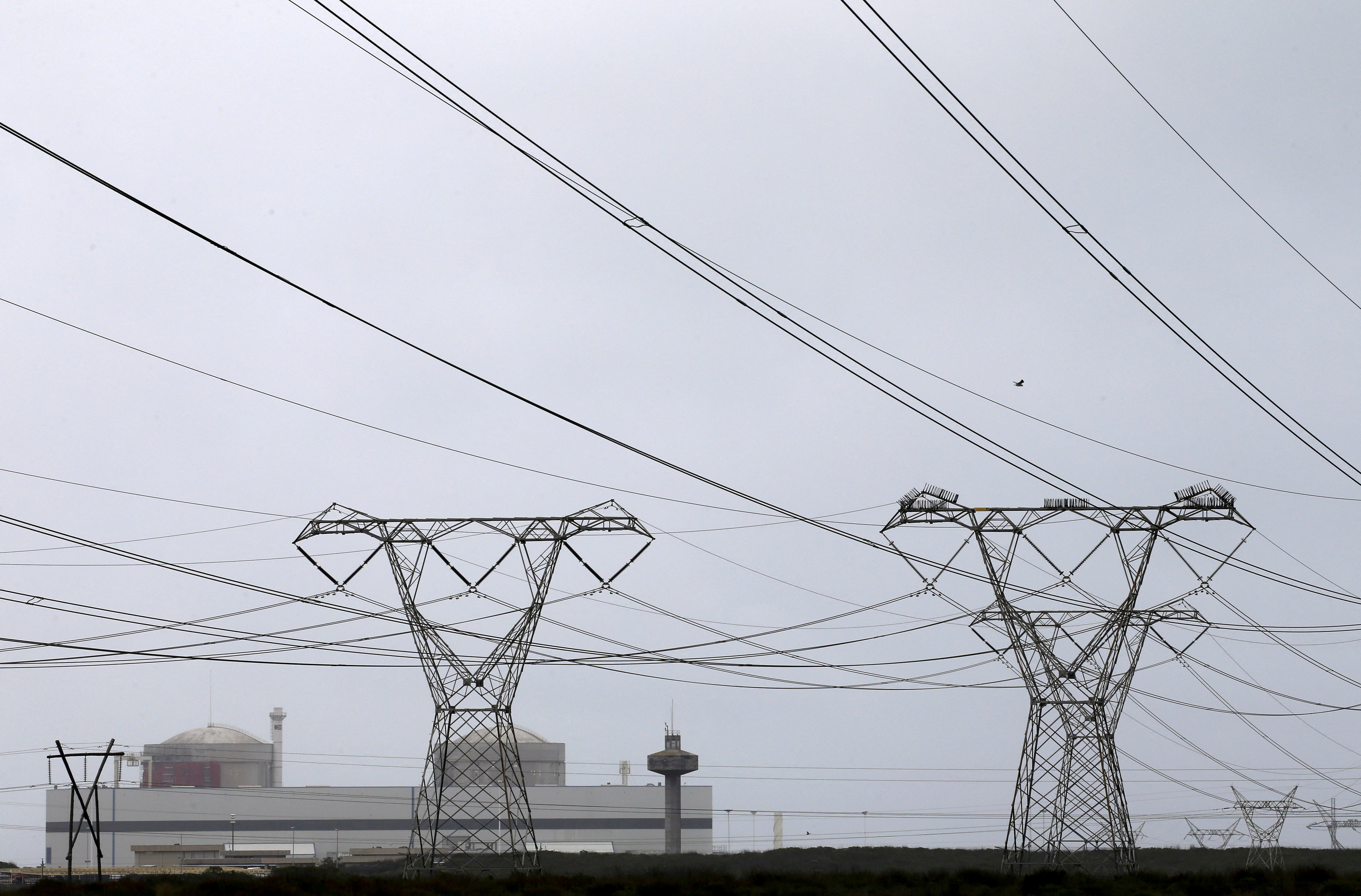 Electricity pylons carry power from Cape Town's Koeberg nuclear power plant