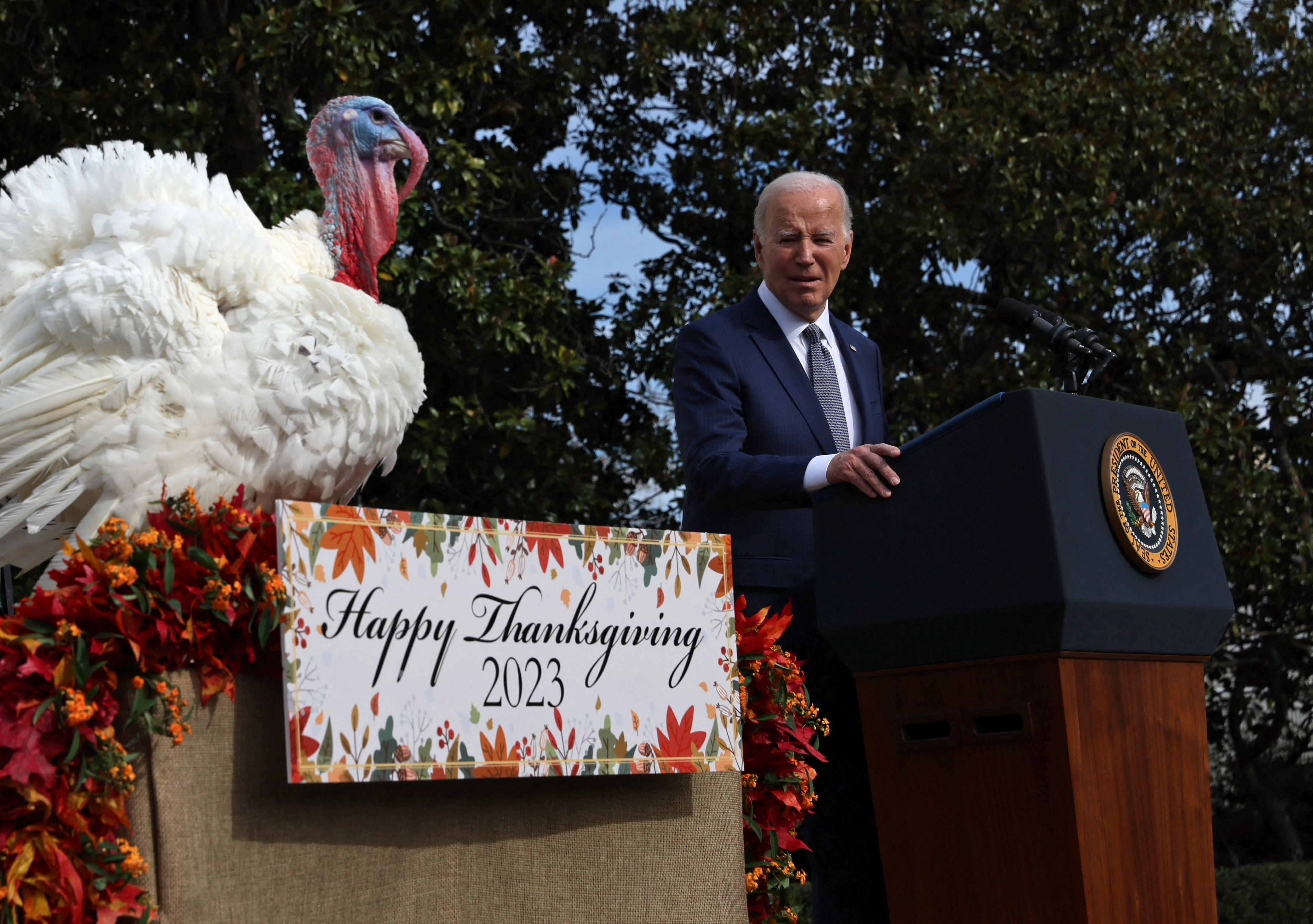 The Reason Turkey Is Our Go-To Bird On Thanksgiving