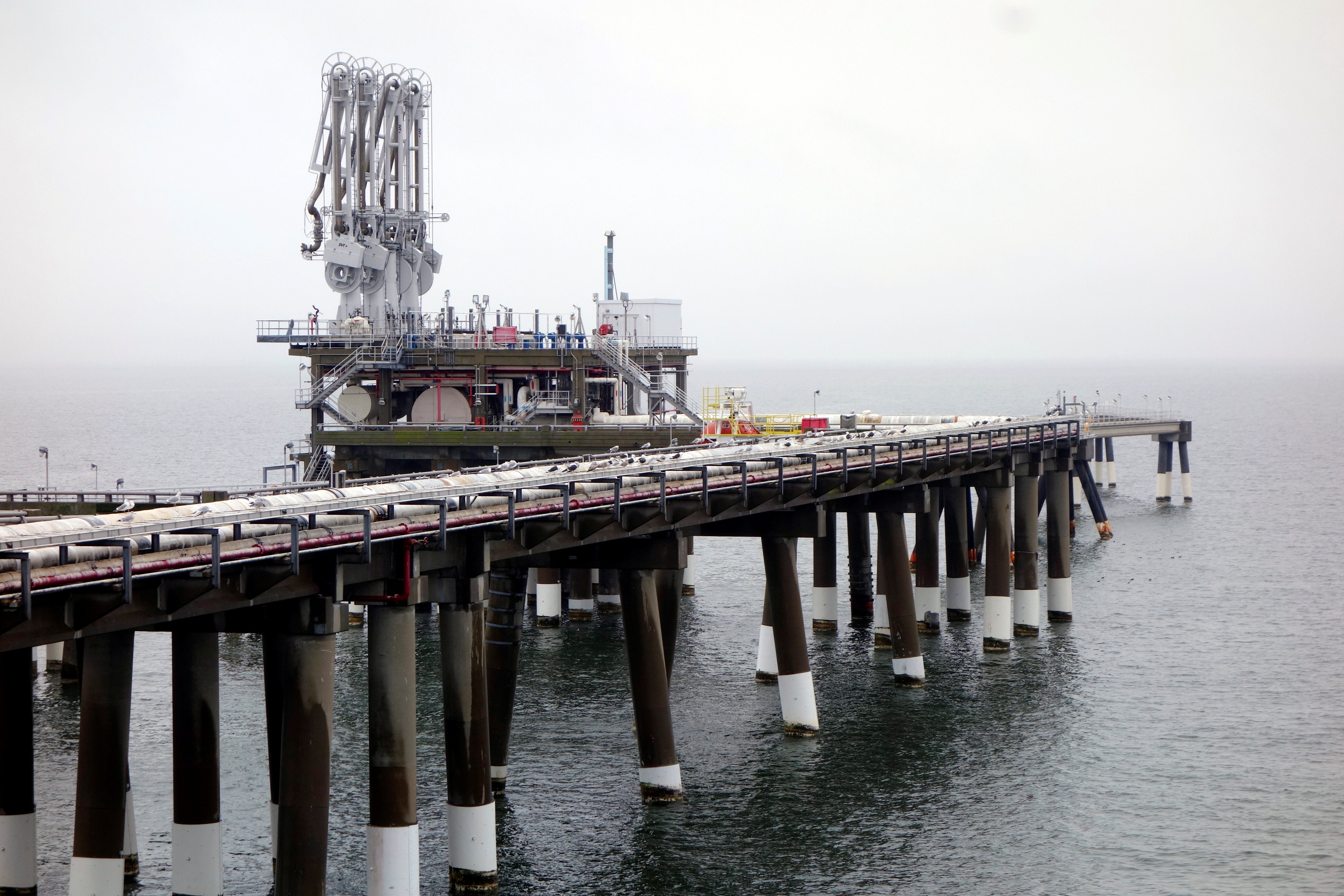 The pier at Dominion's Cove Point liquefied natural gas (LNG) plant on Maryland's Chesapeake Bay is seen in this picture taken February 5, 2014.  REUTERS/Timothy Gardner/File Photo