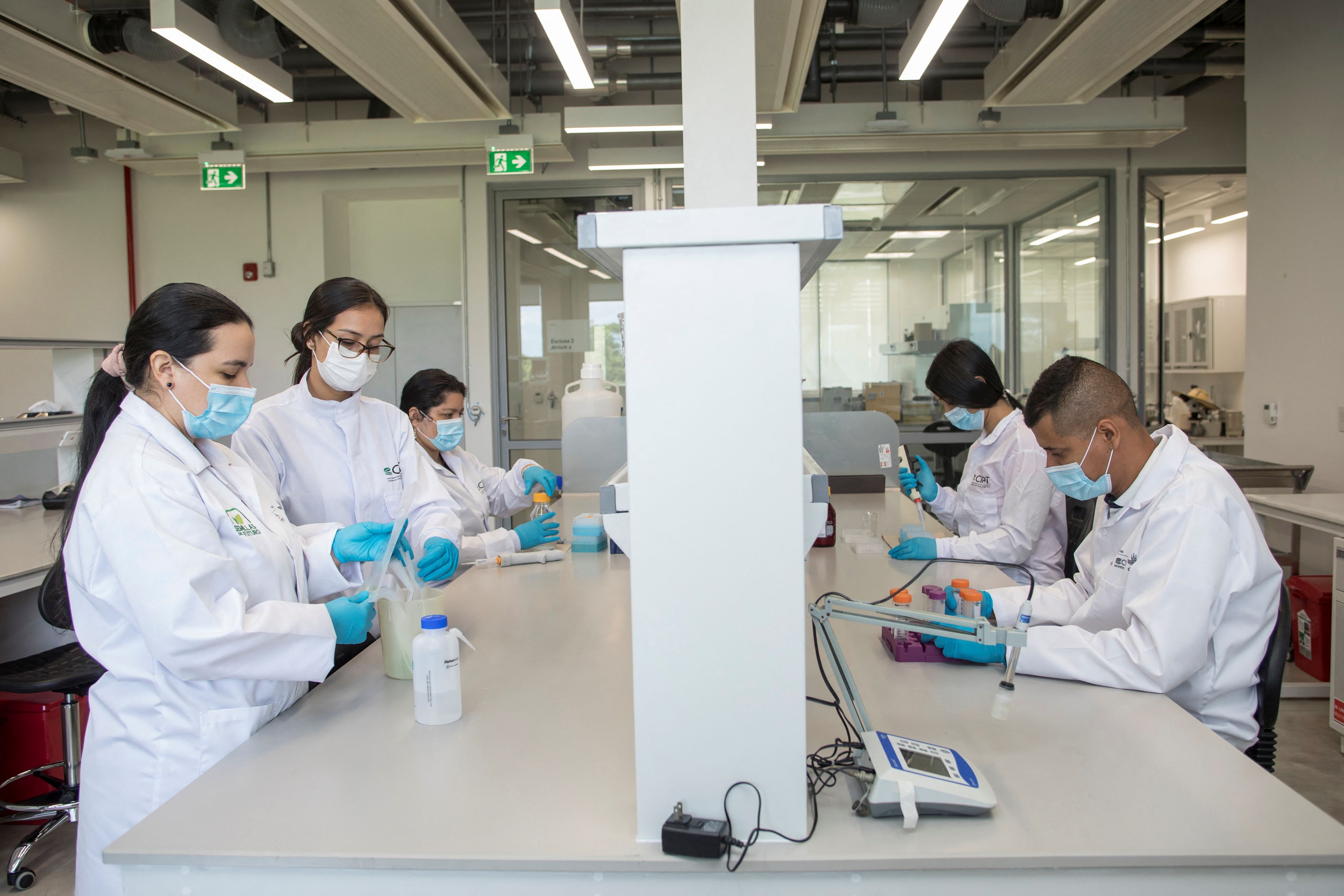 A group of researchers works at the Future Seeds gene bank in Palmira