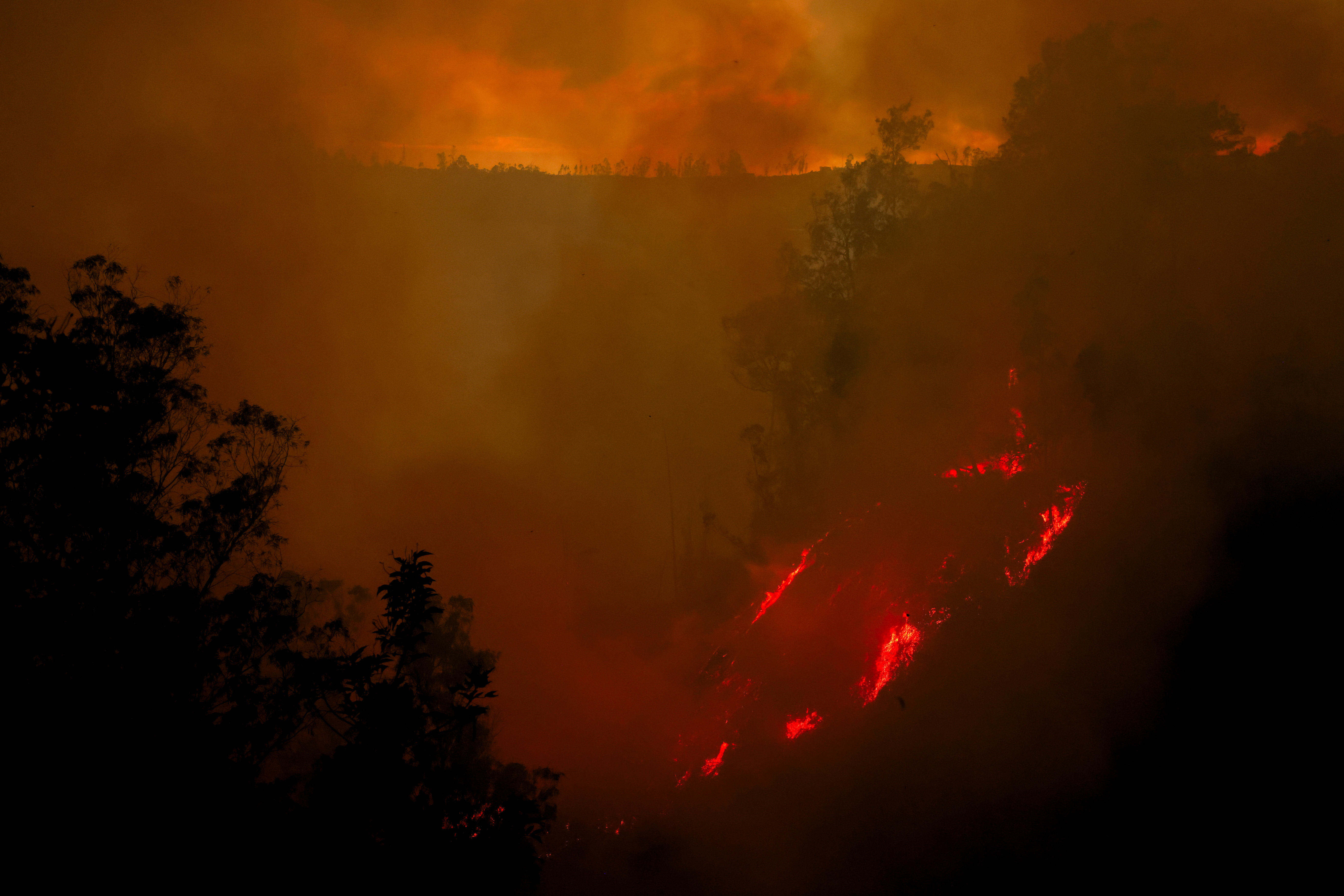 Wildfire burns in Quito